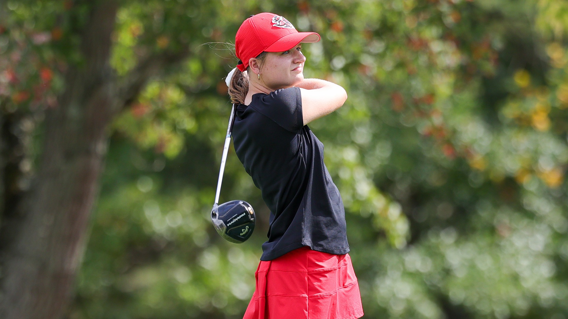 woods on tee box fall 2025