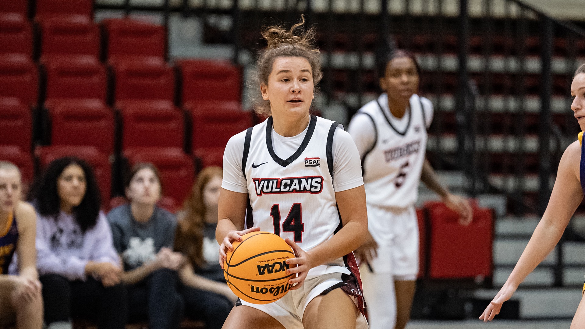 sardone vs ashland 2025