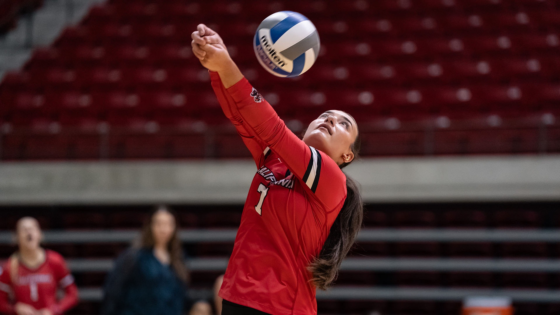 California volleyball player Aubrey Bumblis (#7) looks up while setting a volleyball overhead with both arms during a match.