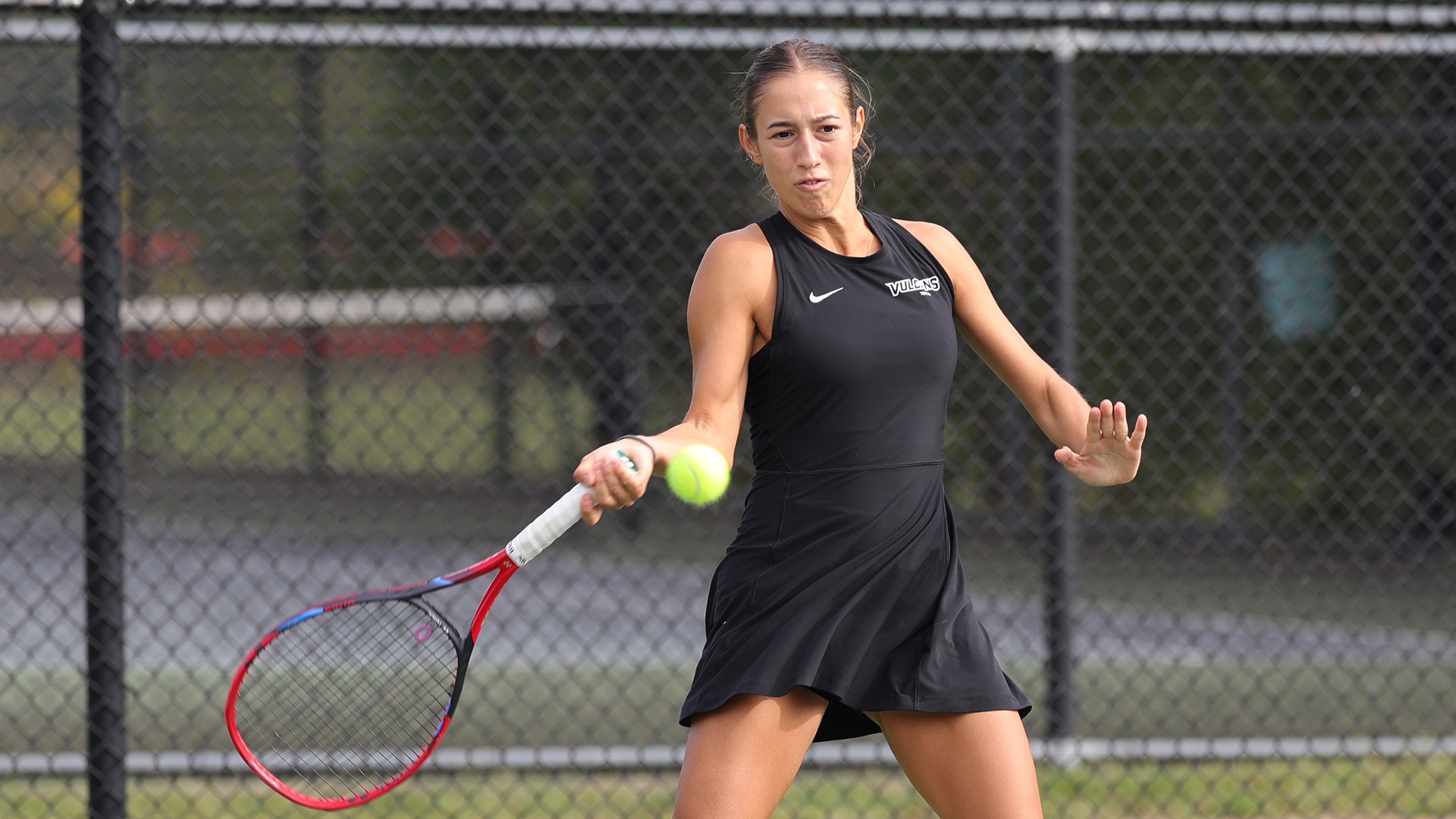 mungo at roadman fall 2025