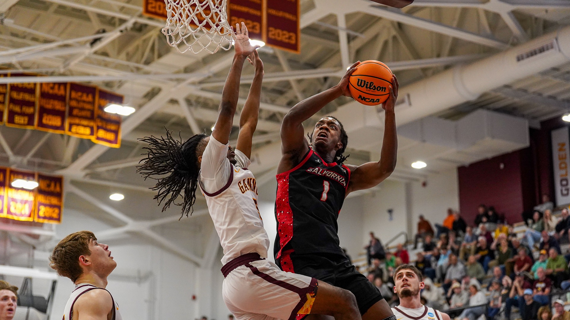 arnett in paint at gannon ncaa 2026