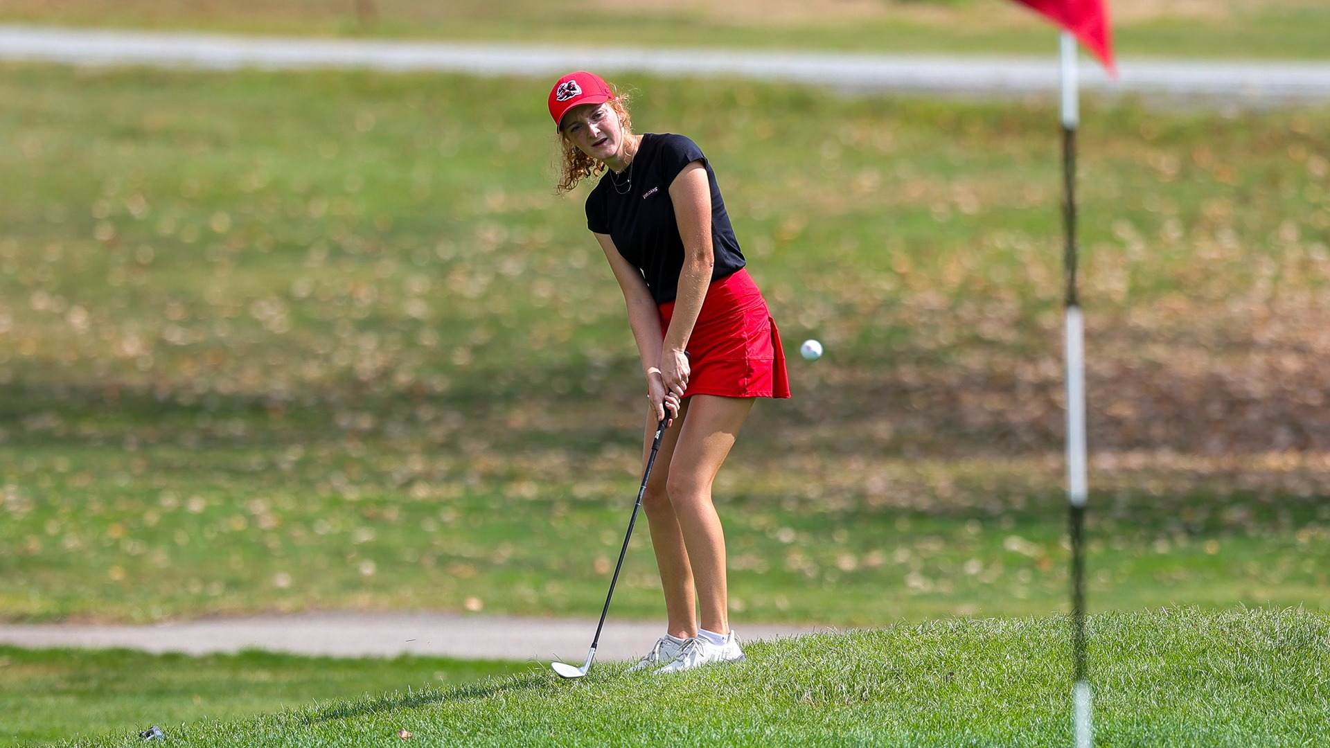 benz chip on to green fall 2025