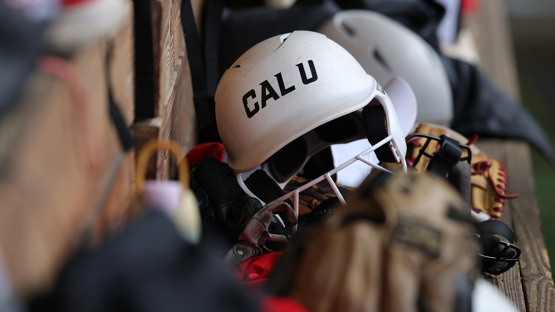 helmet gloves in shu dugout