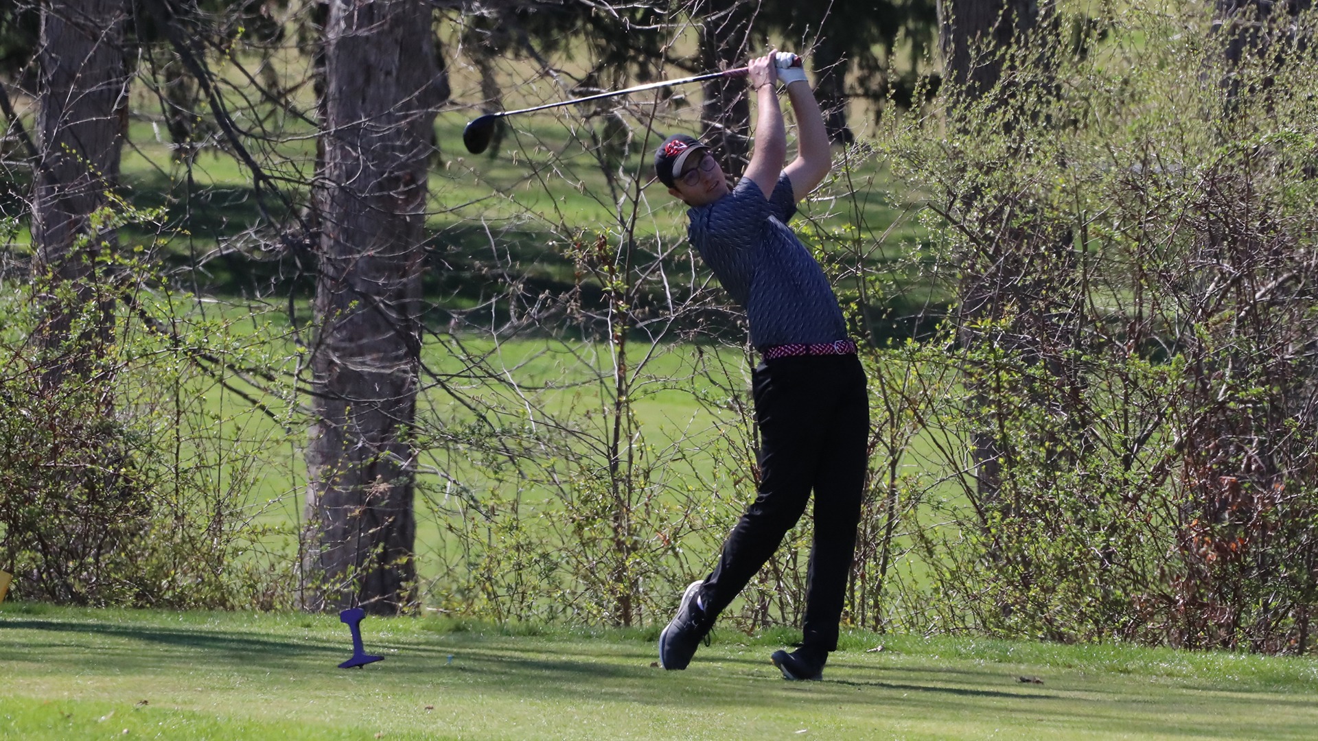 pedley at bloomsburg spring 2025