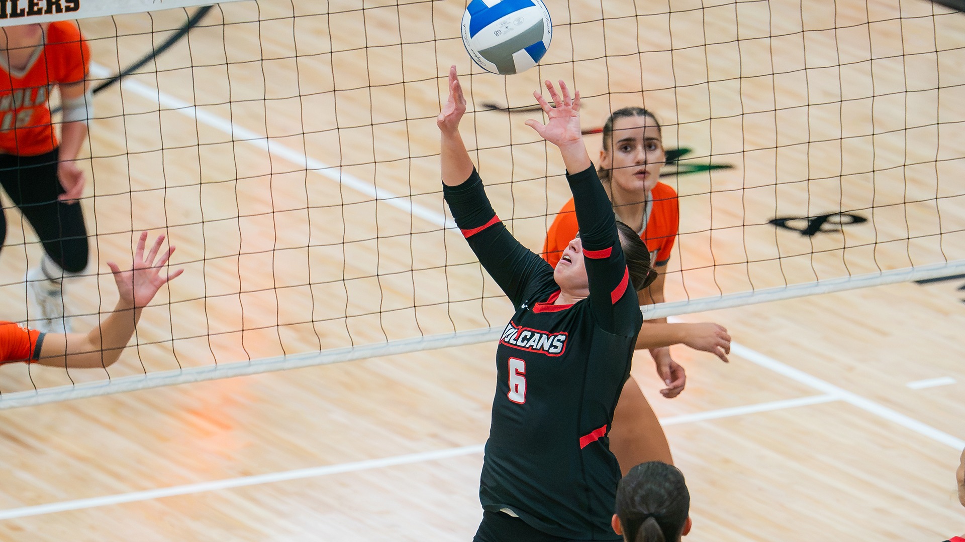 California volleyball player Molly Smiddy, wearing black jersey number 6, jumps to set the ball during a match against the Findlay Oilers.