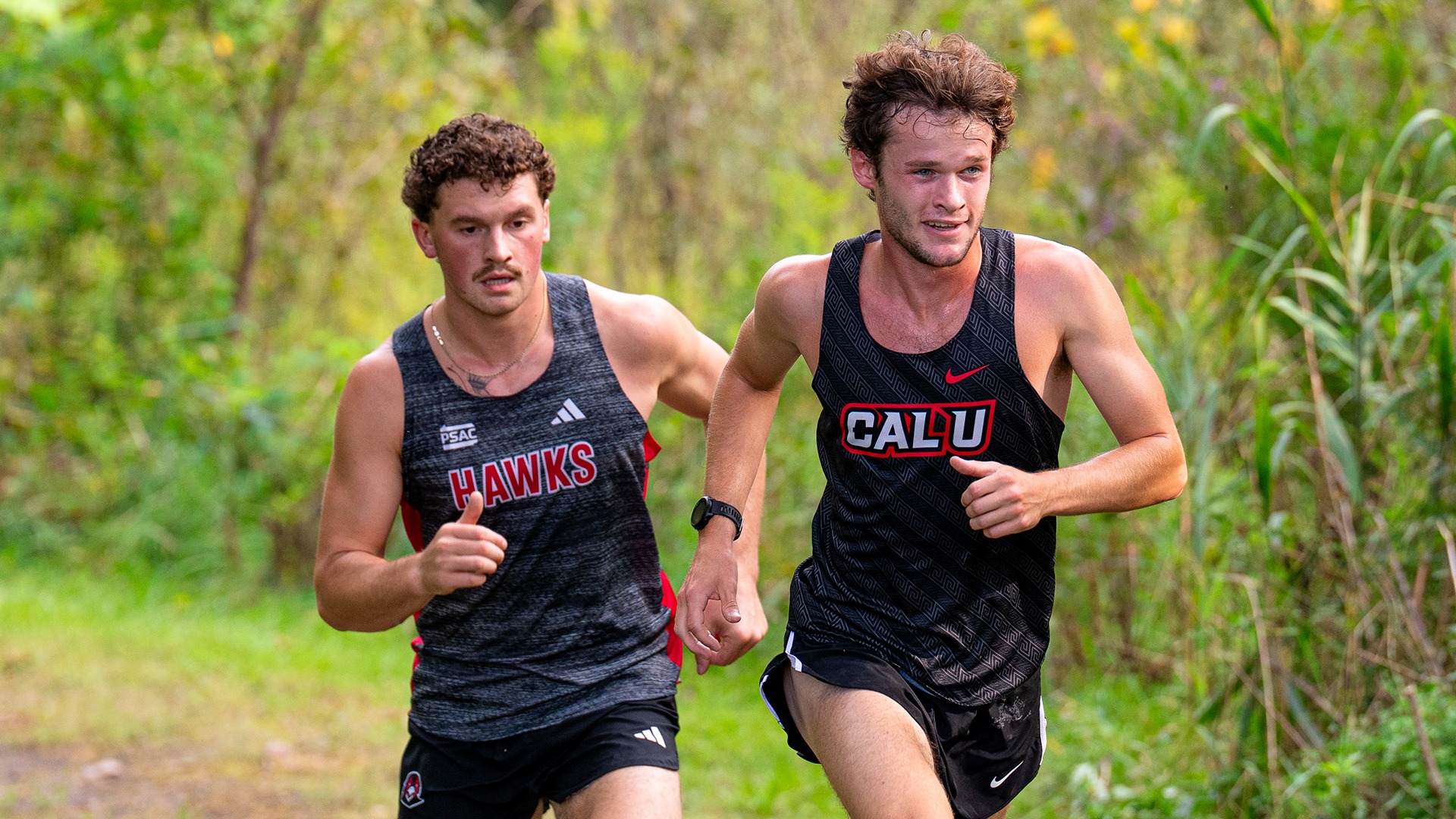 California cross country runner Will Berzonsky competes alongside an IUP runner on an outdoor trail during a dual meet.