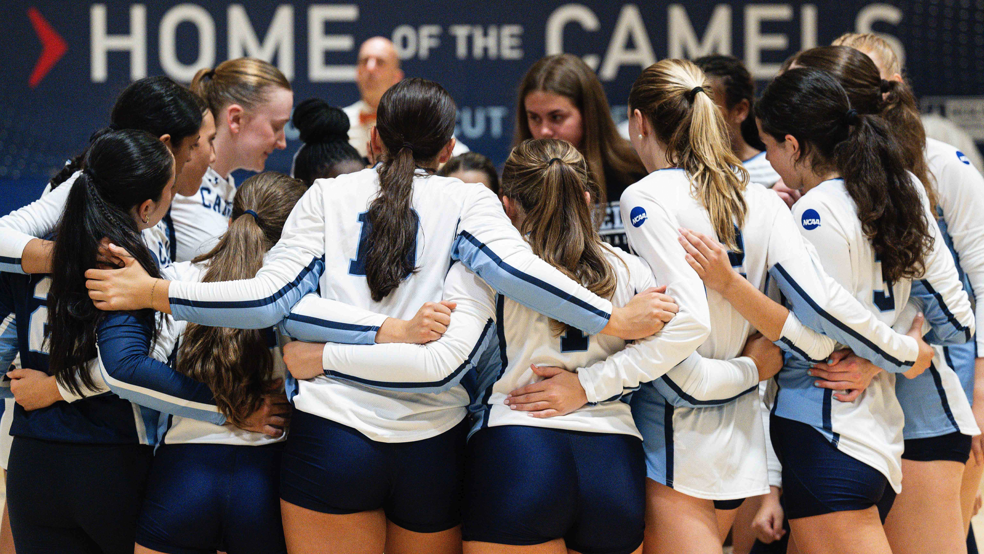 Volleyball team huddle