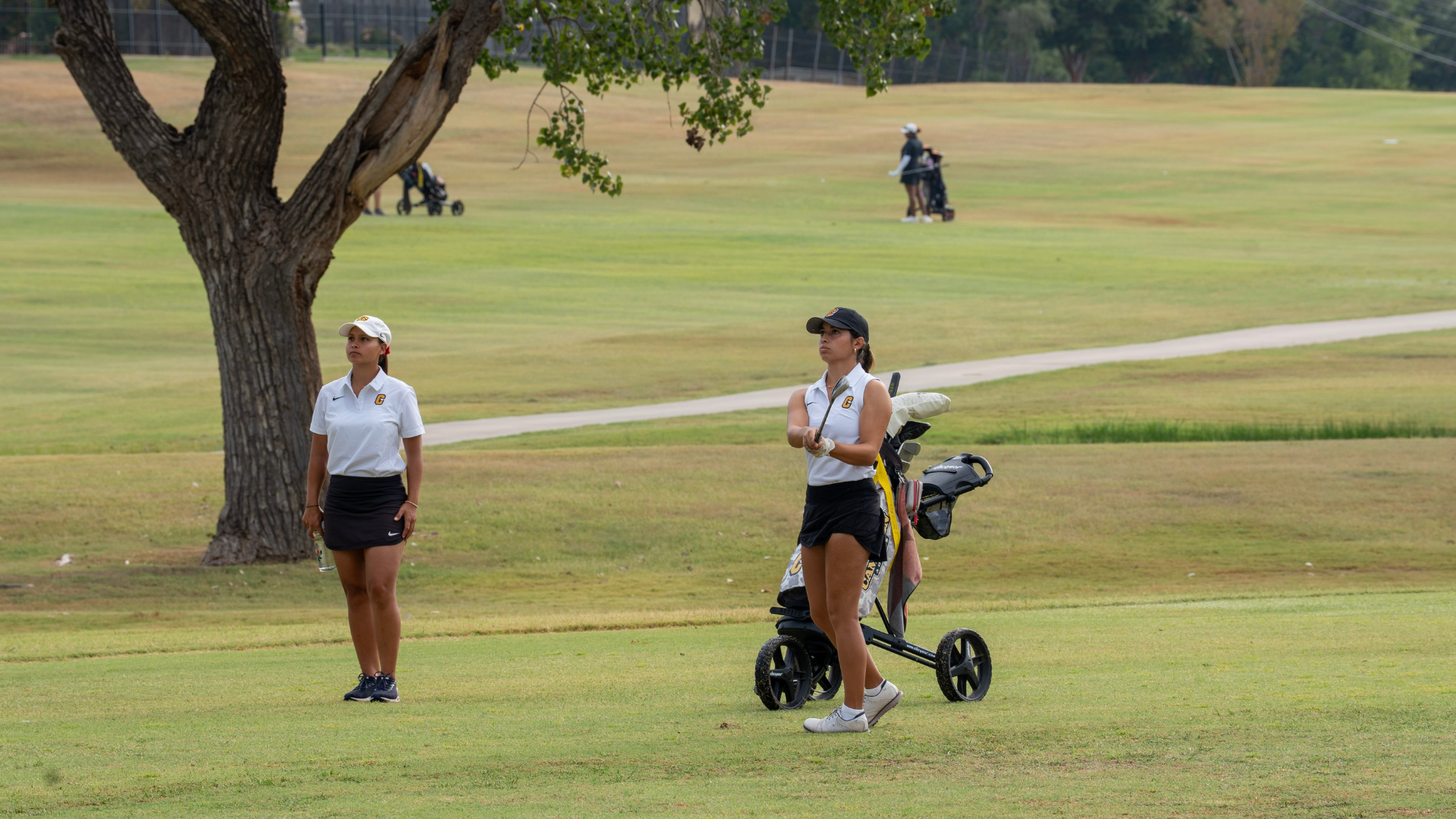 Women's Golf Tulsa Cup