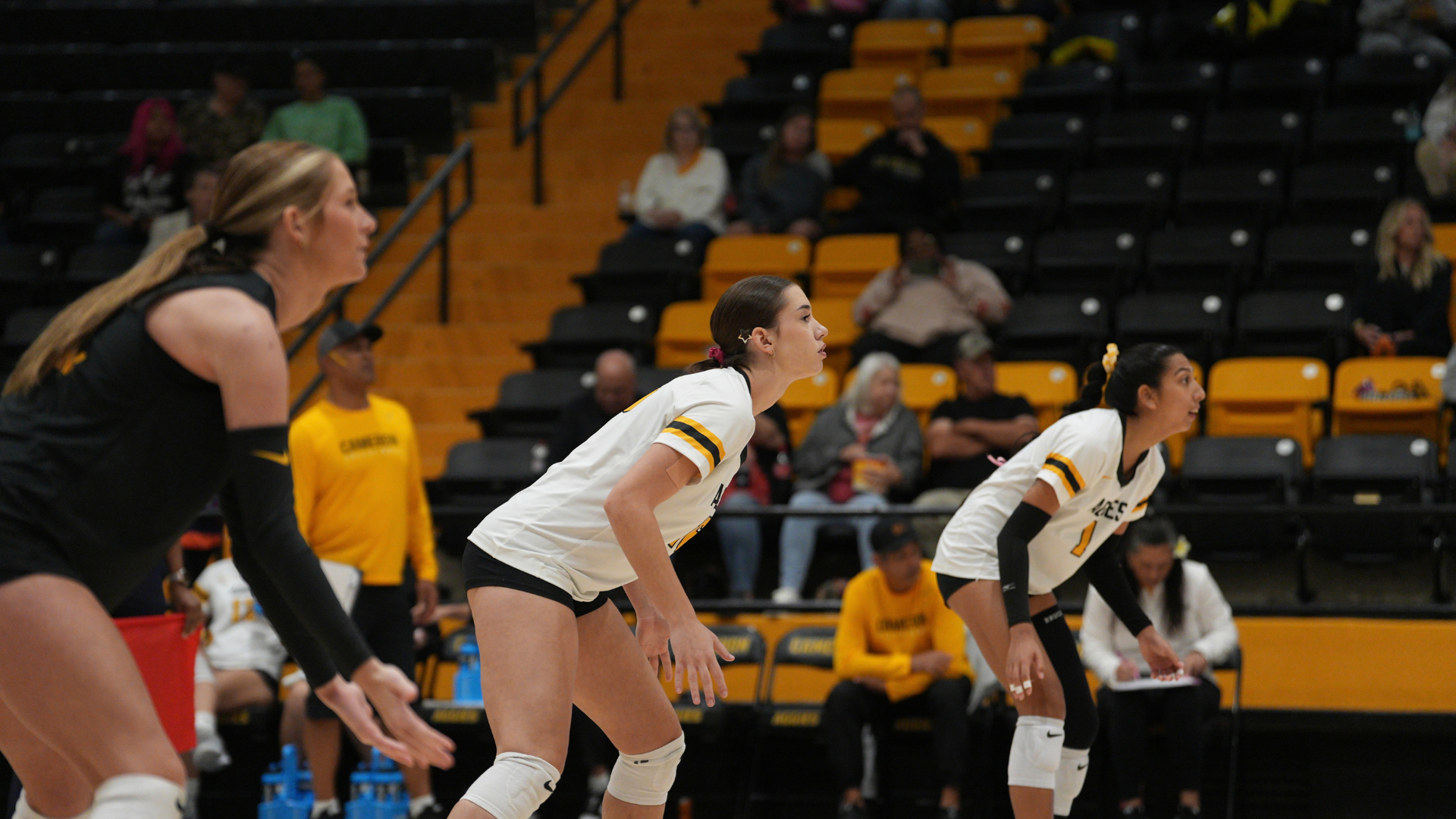 Three Cameron volleyball players prepare in defensive positions during a match inside Aggie Gymnasium, with black-and-gold seating and spectators visible in the background.