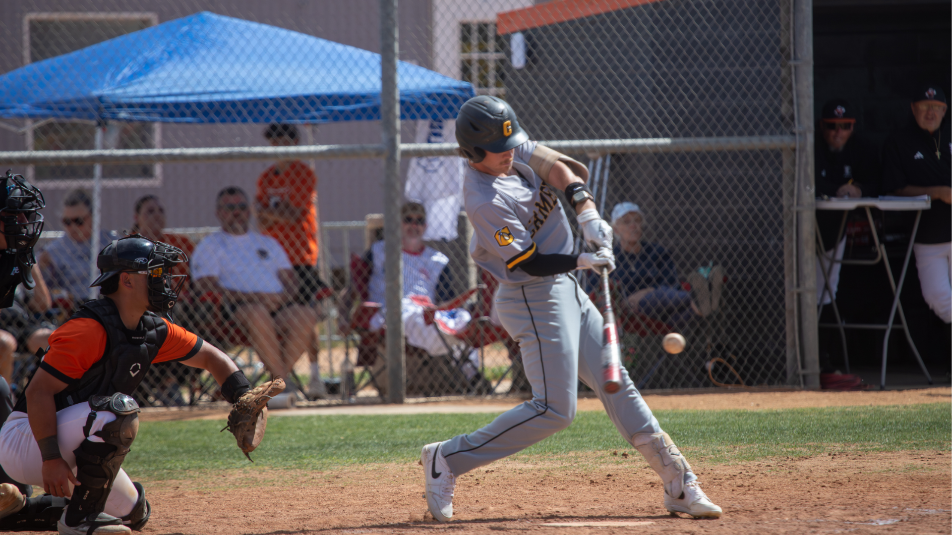 Baseball against UTPB 3-14