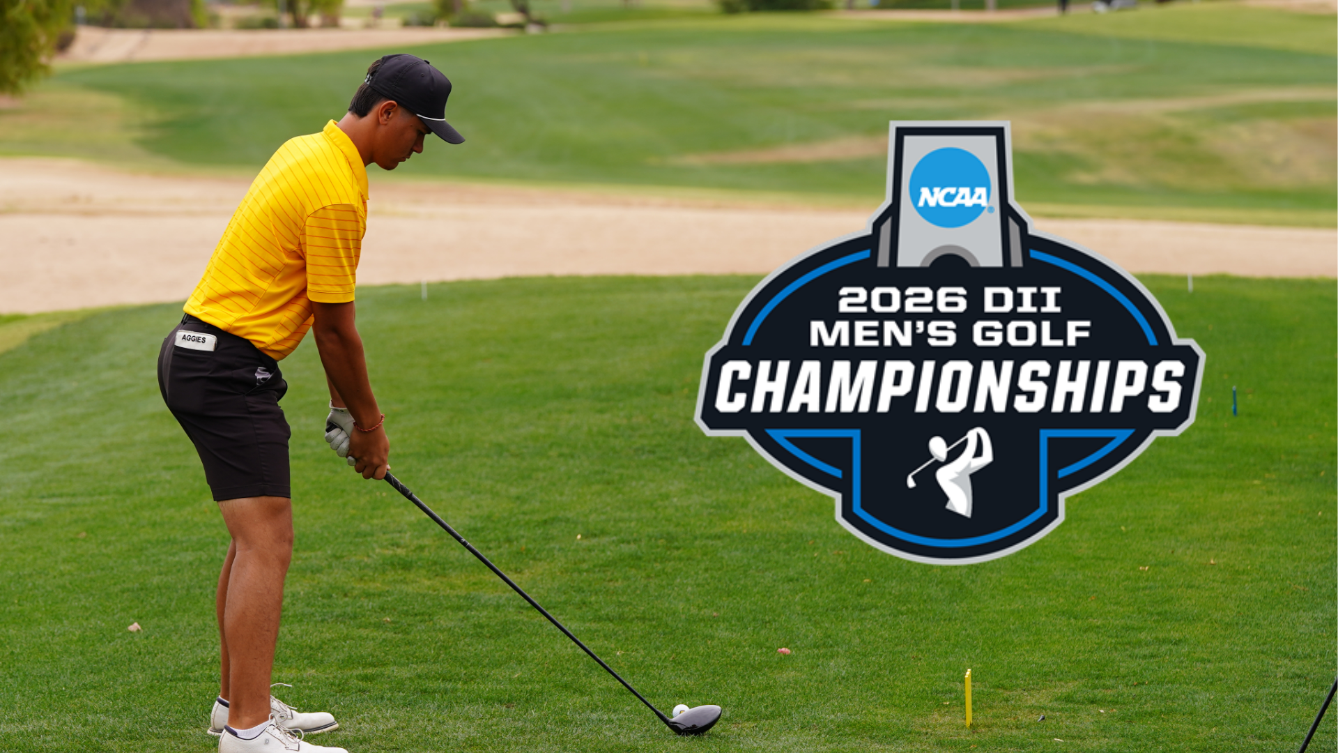 Men's Golfer Alois Casalonga Tees off from the tee box featuring 2026 NCAA DII Men's Golf Championships