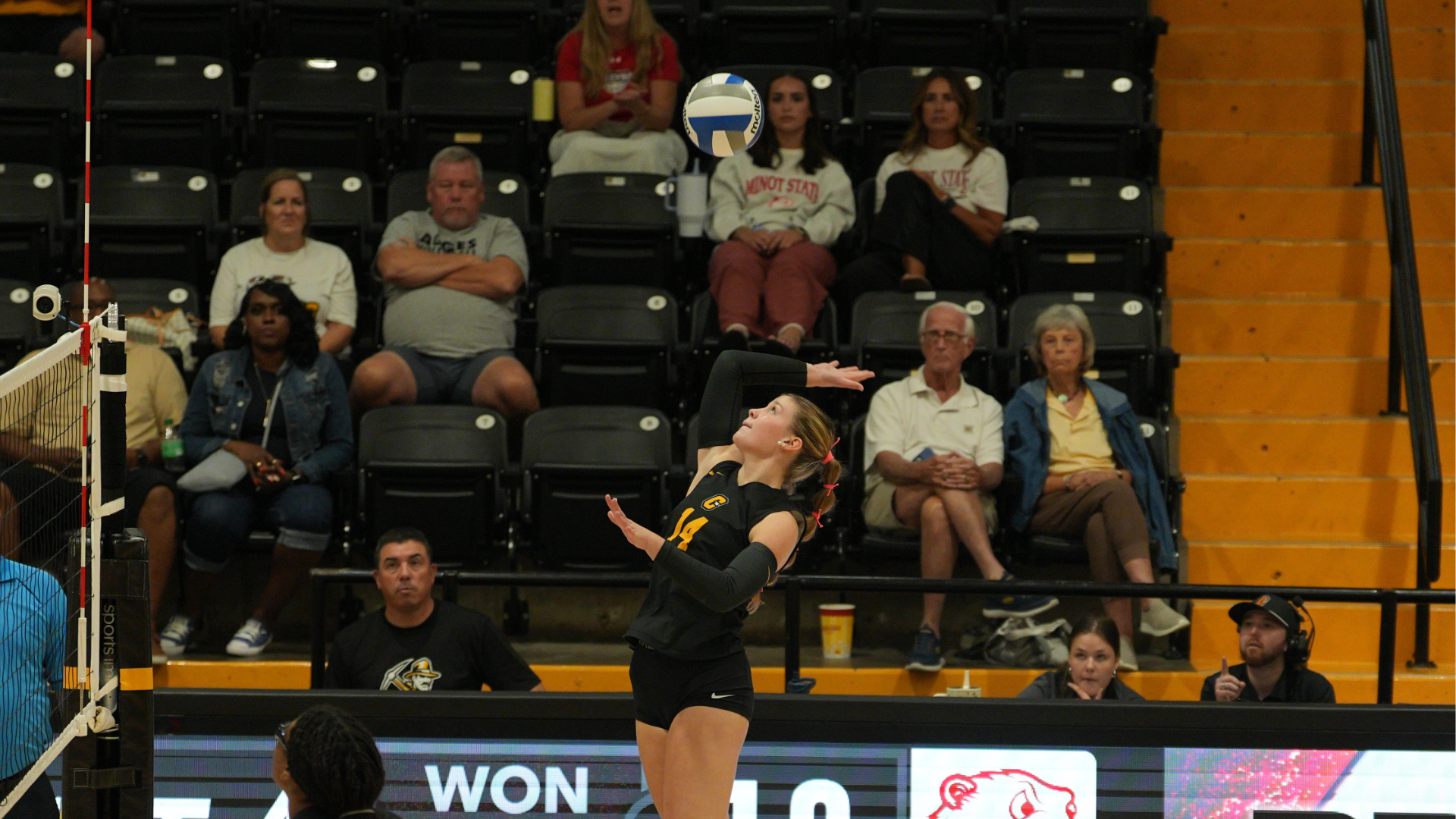 Cameron volleyball player wearing No. 14 prepares to serve during a match, tossing the ball into the air as spectators watch from the stands.