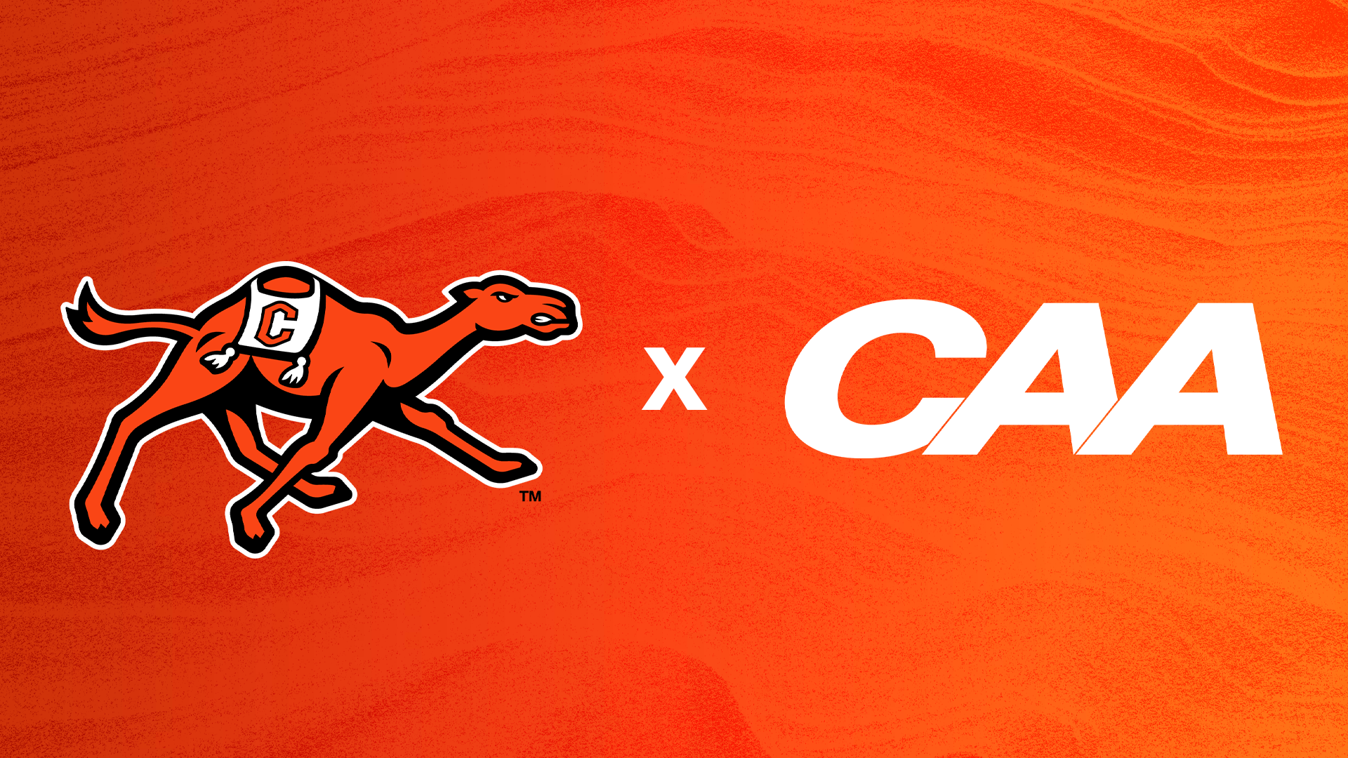 Campbell joins the CAA