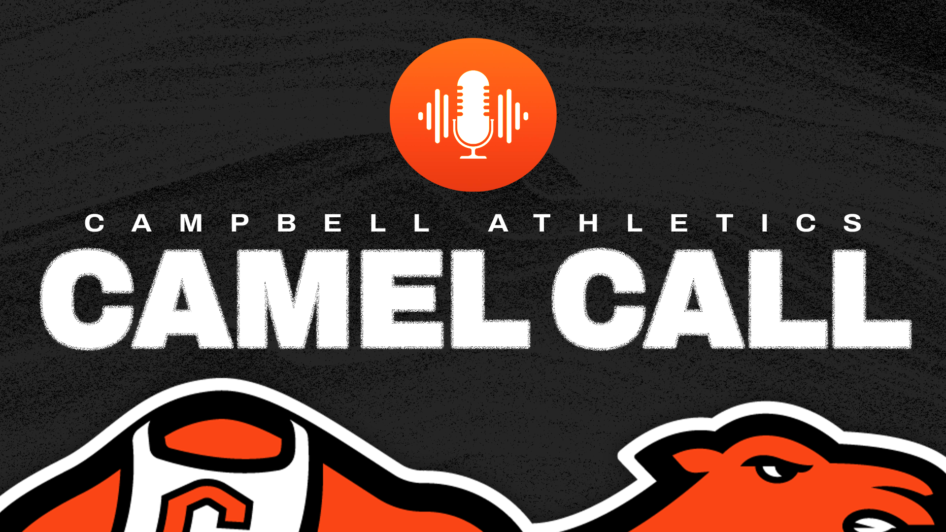 Camel Call Live