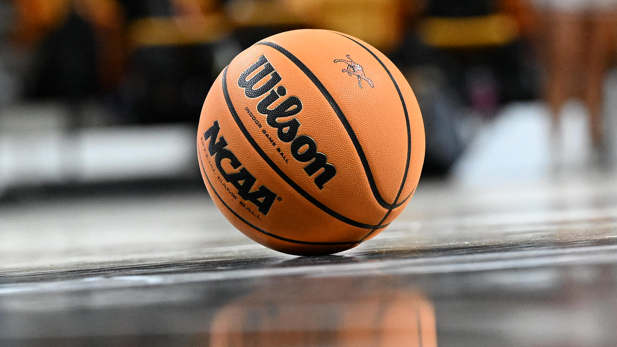 Campbell Basketball