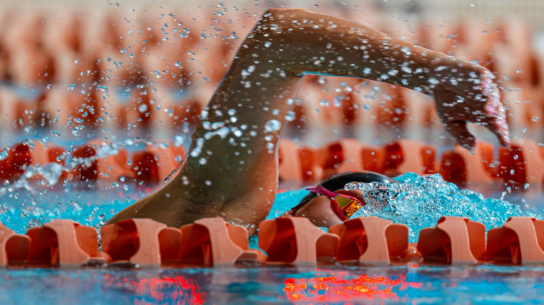 Campbell swimming