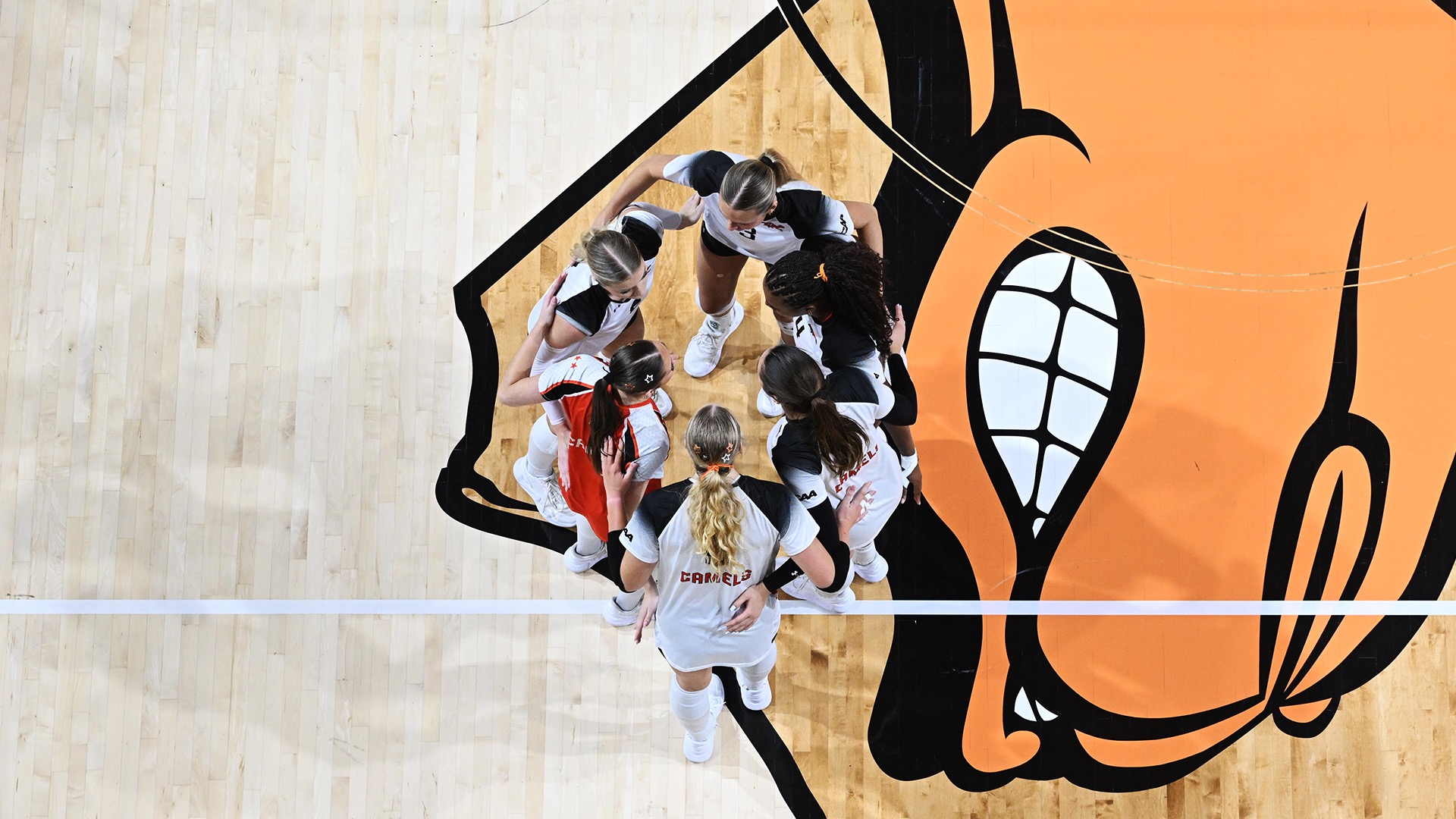 Volleyball Huddle