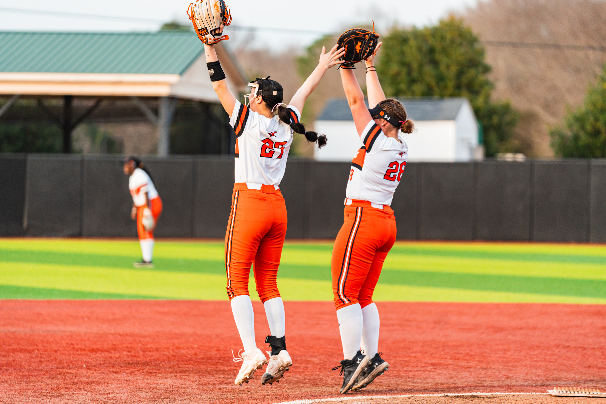 Softball - Cornetto & Wolfe