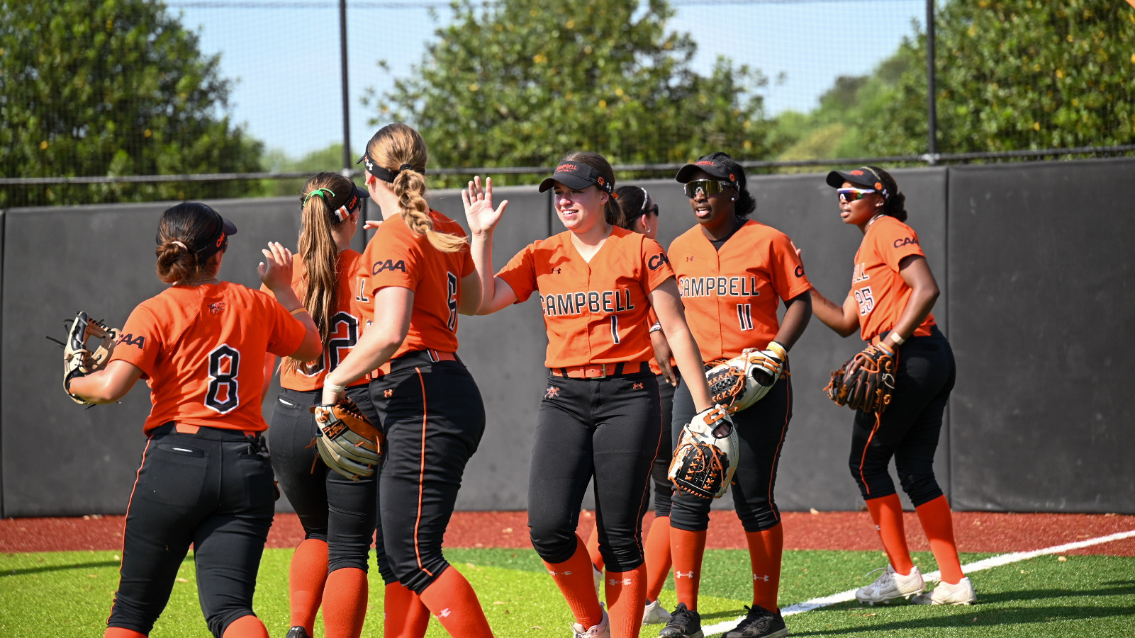 Softball Team Handshake