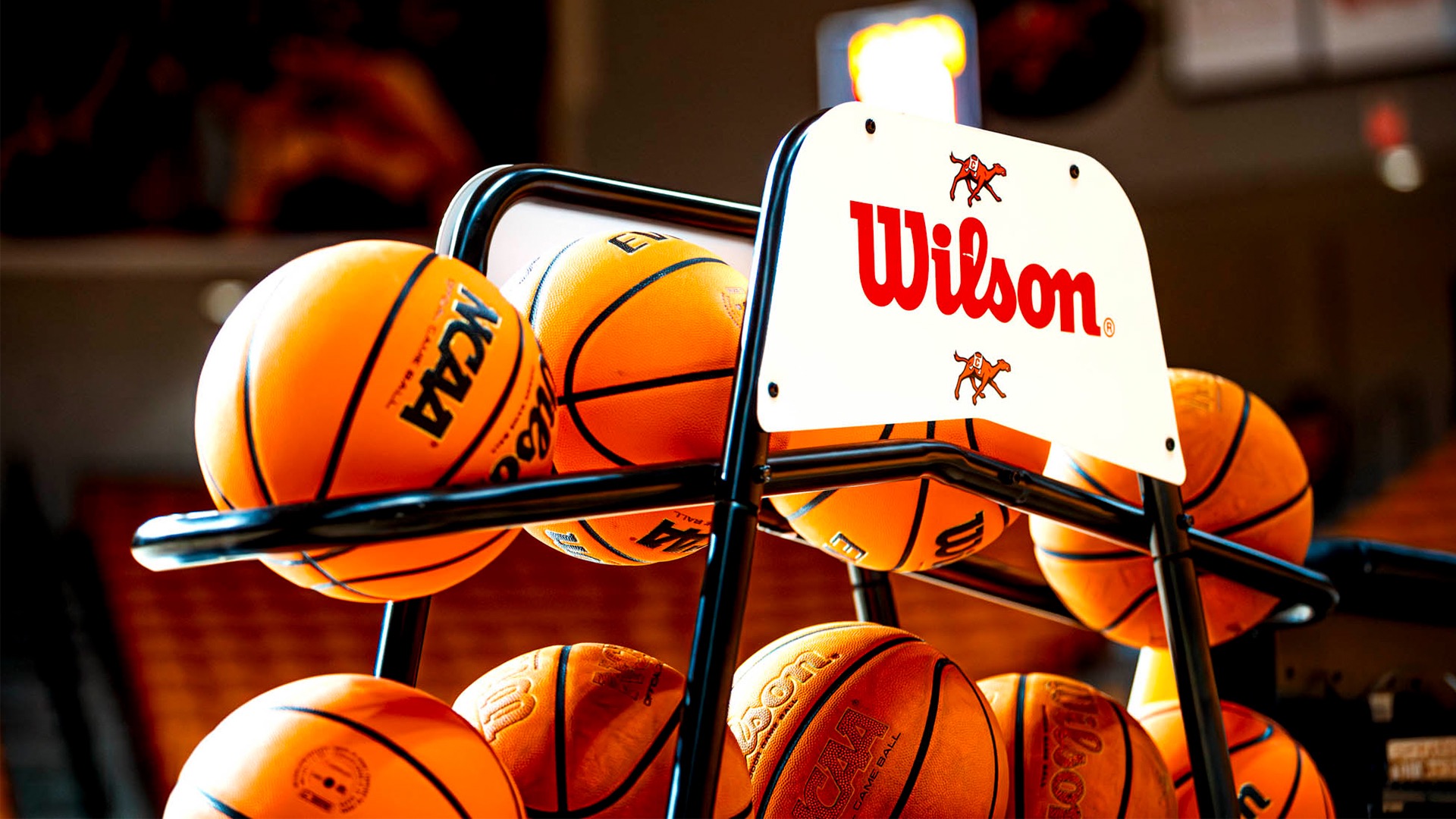 Basketball Rack