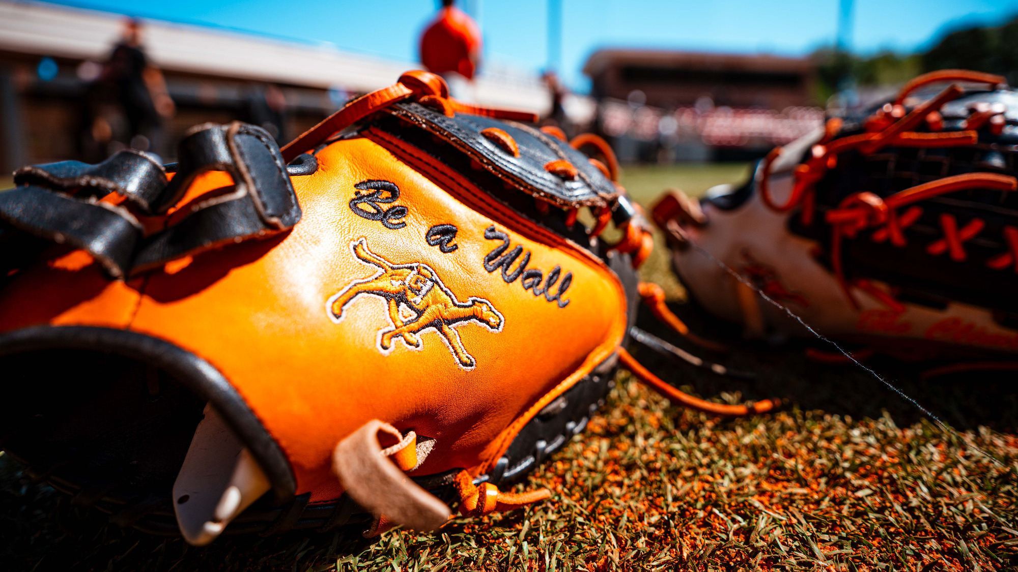 Softball glove