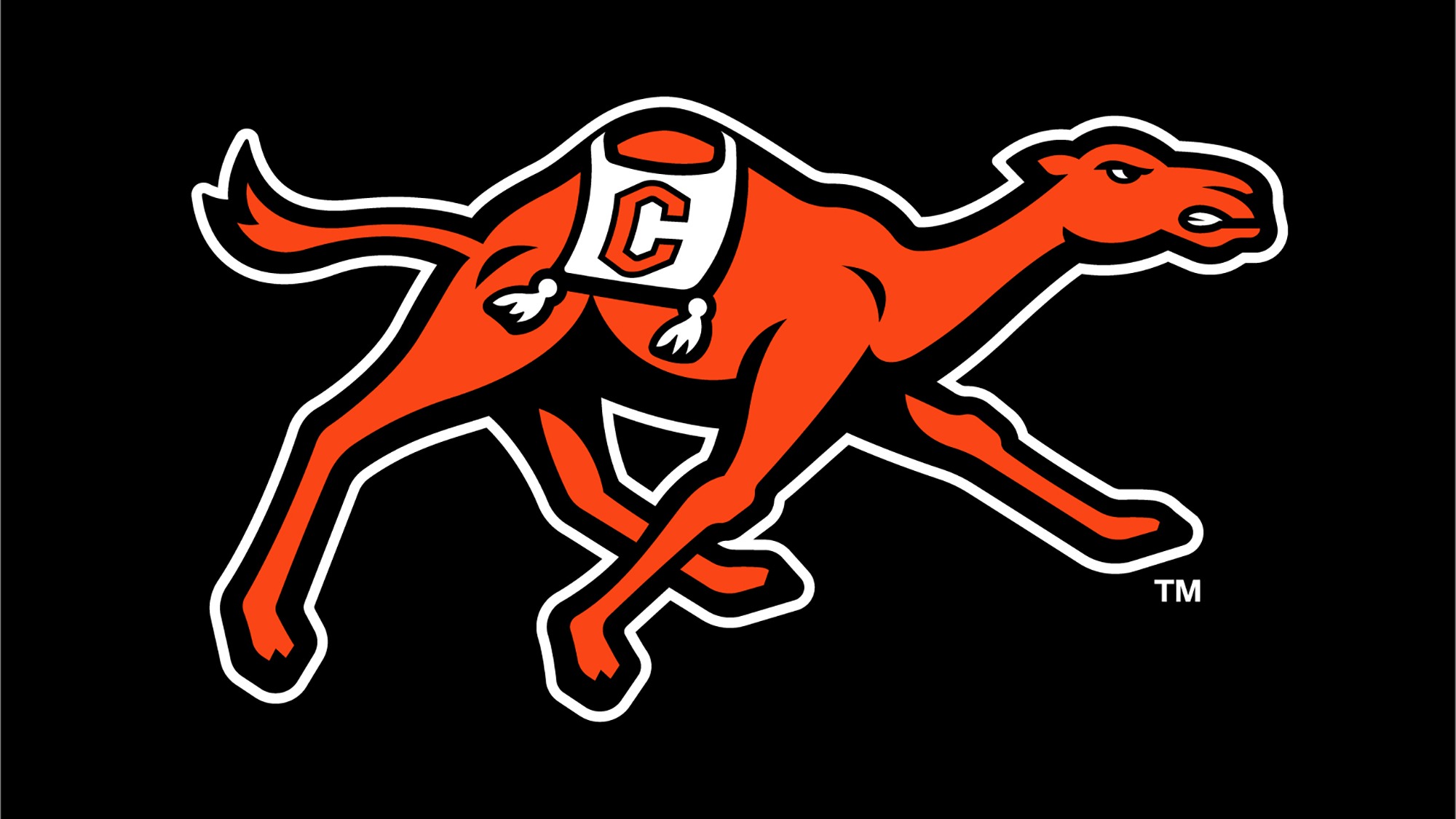 Camel logo