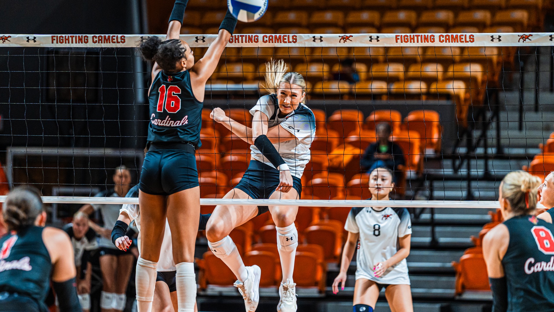 Hailey Heytvelt