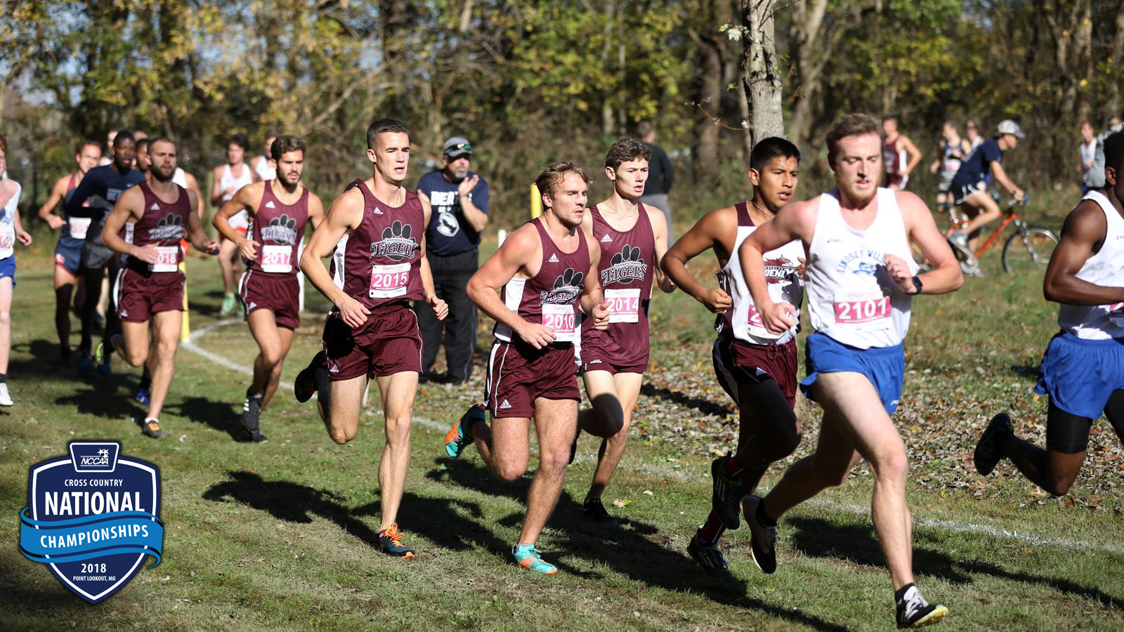 Cross Country 11-8-18