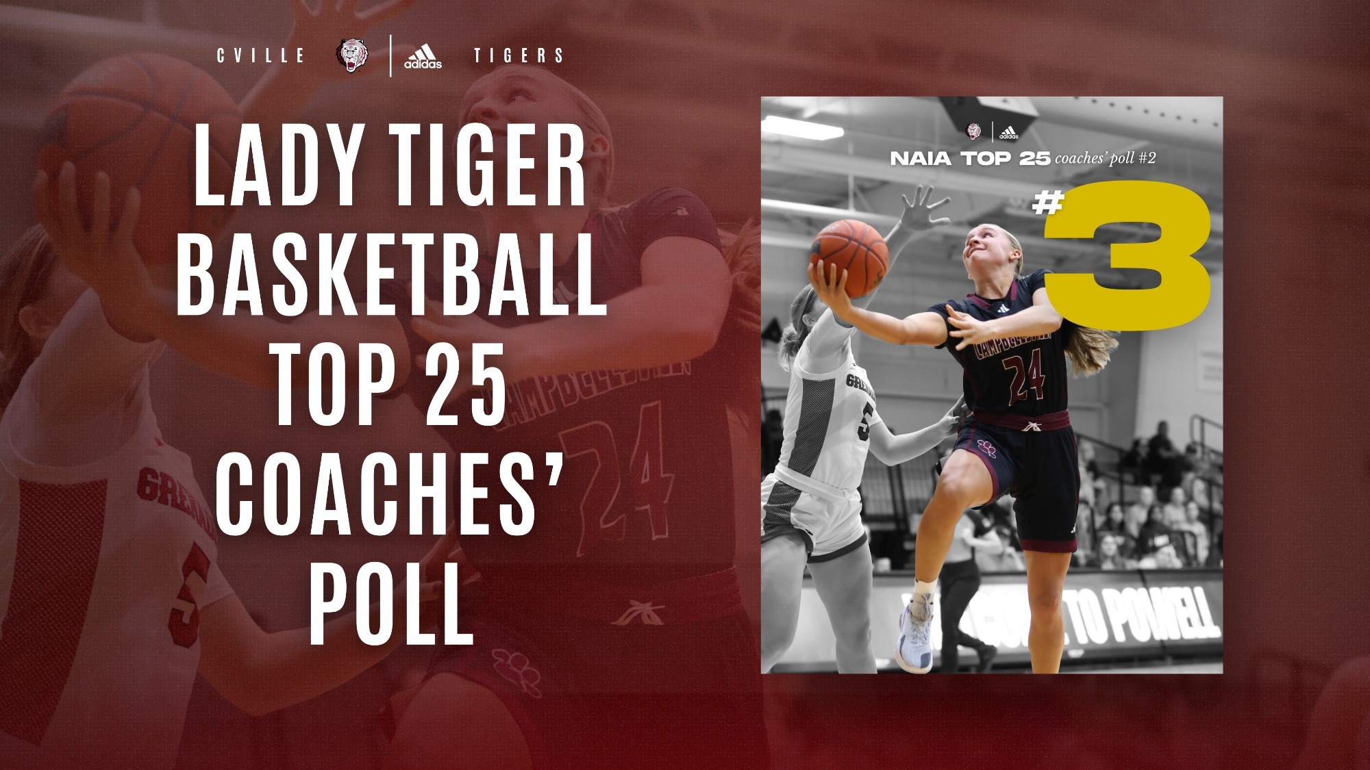 WBB NAIA Poll 112625