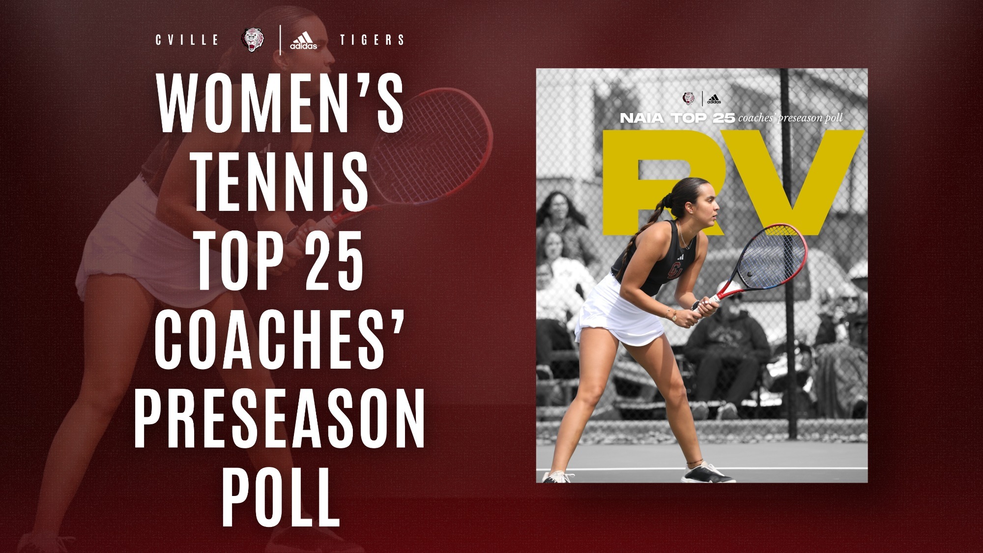 WTEN NAIA ranking 11525