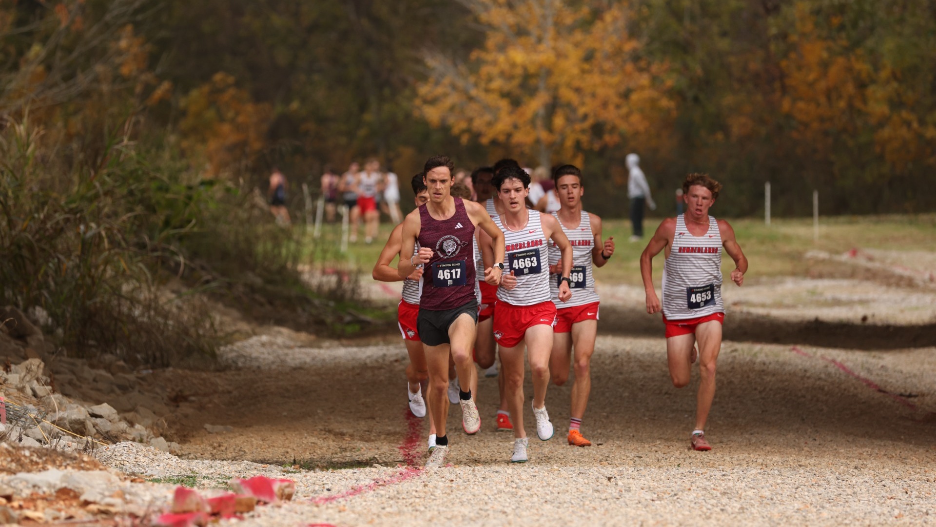 batel msc championship 110725