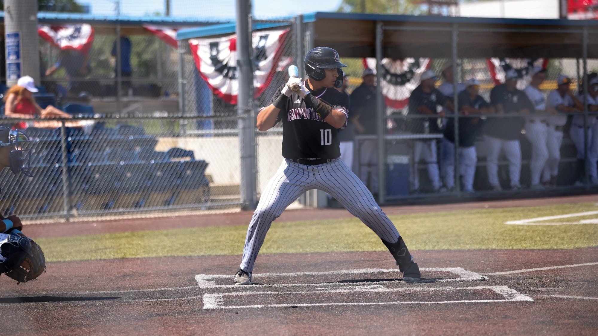 base vs jessup 51725