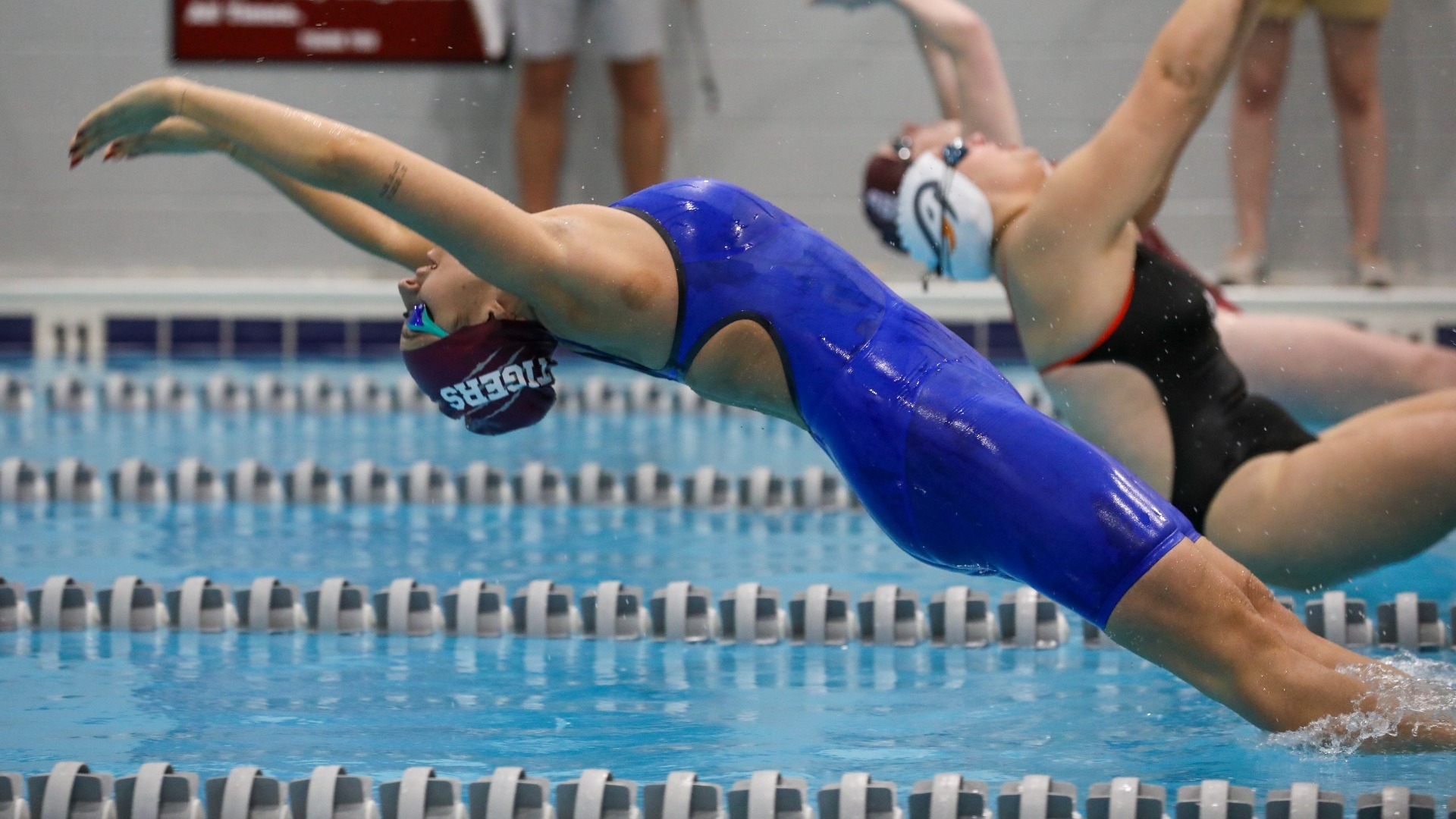 Tiger launching from wall