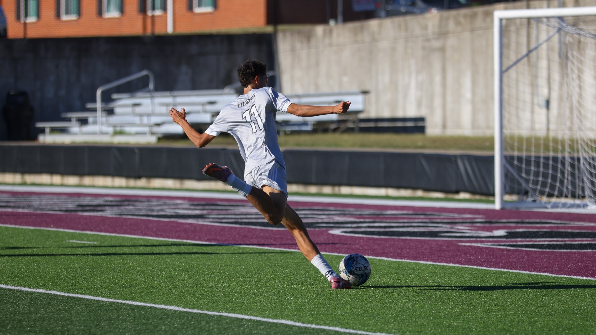 Tiger kick