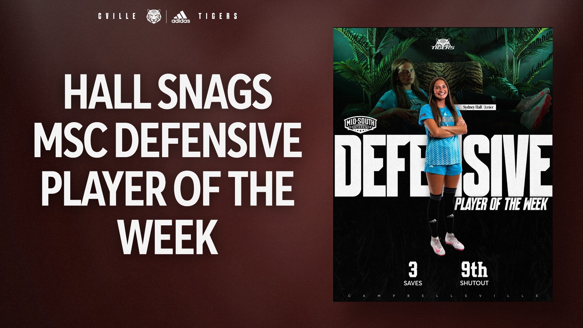 WSOC Hall MSC PotW 101926