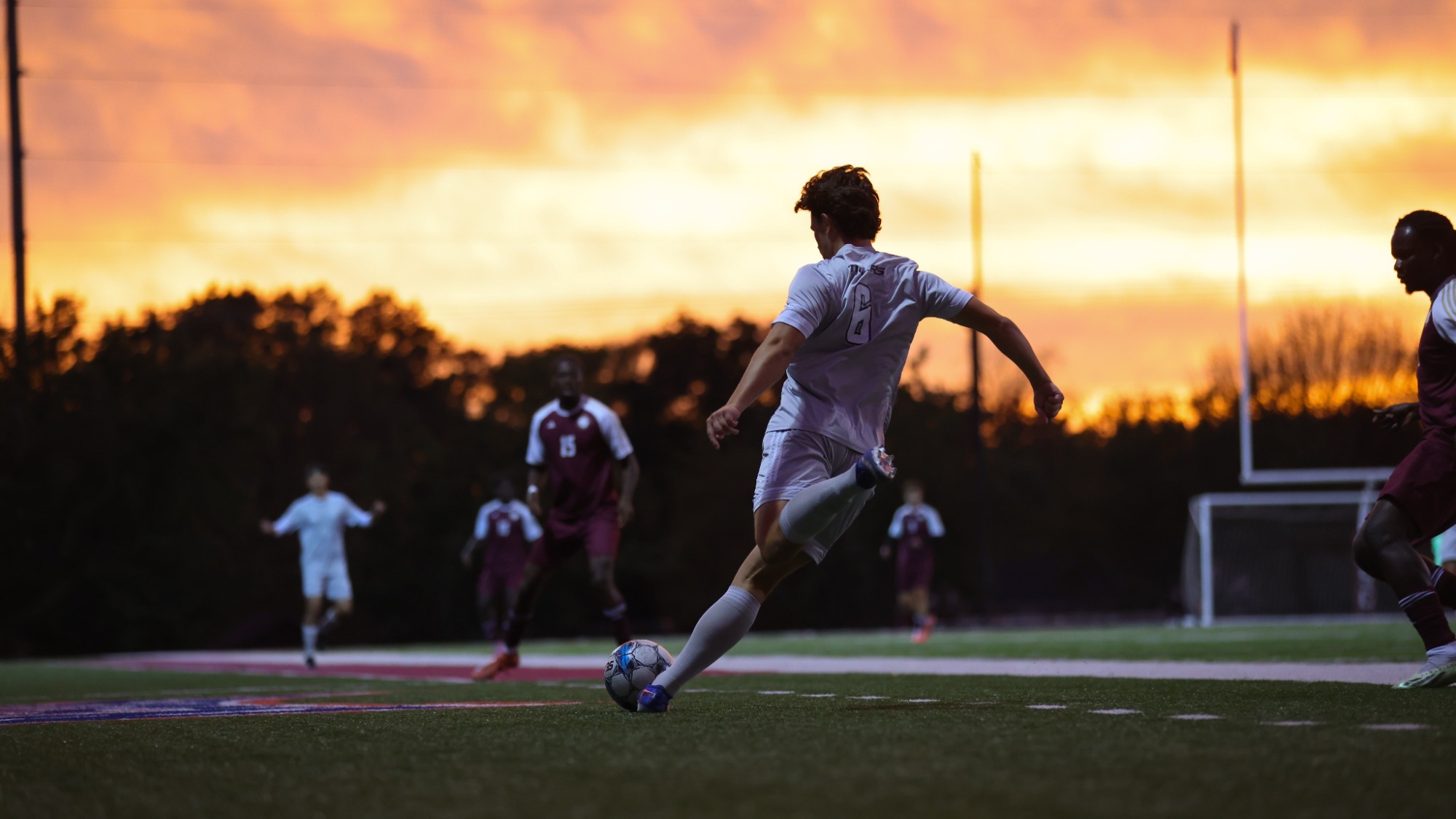Tiger kicking
