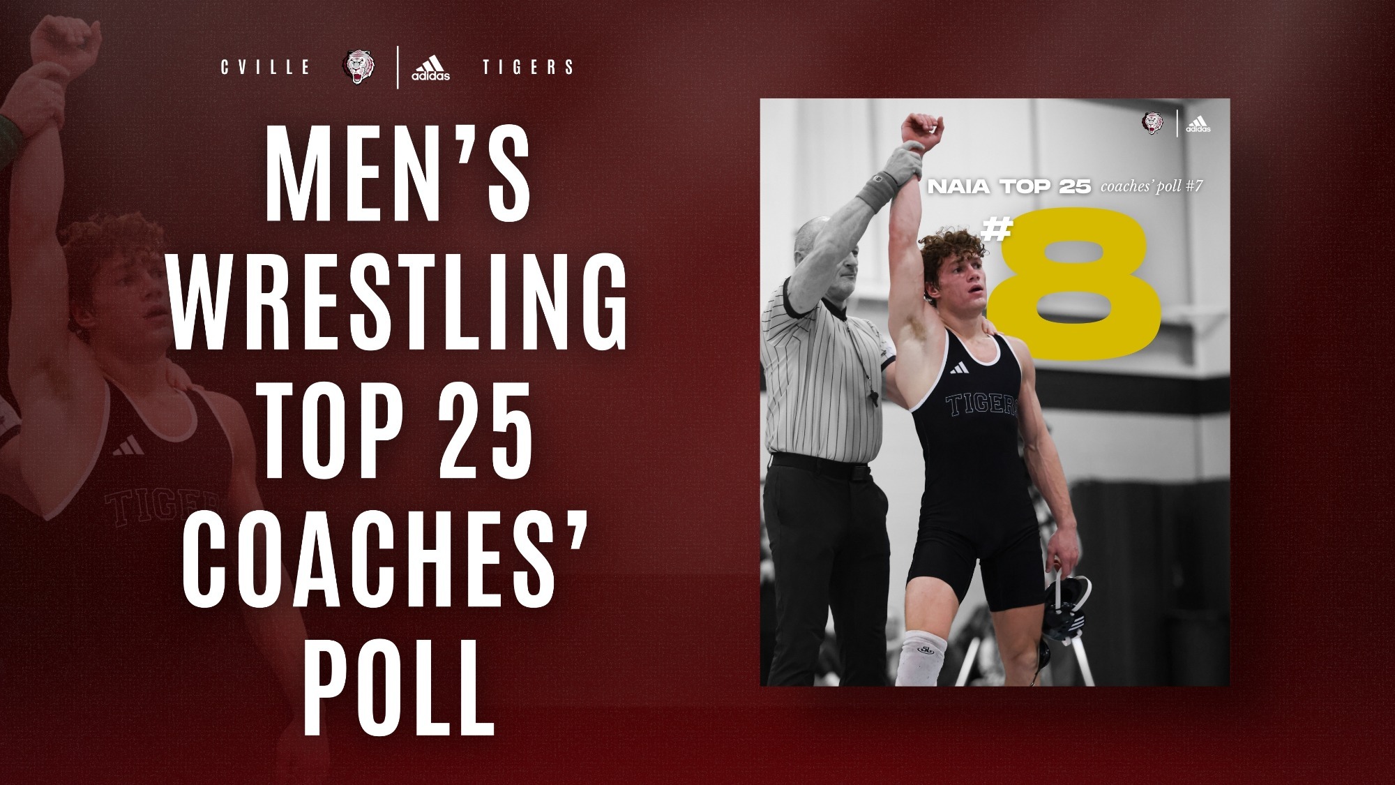 MW NAIA Poll graphic 21126