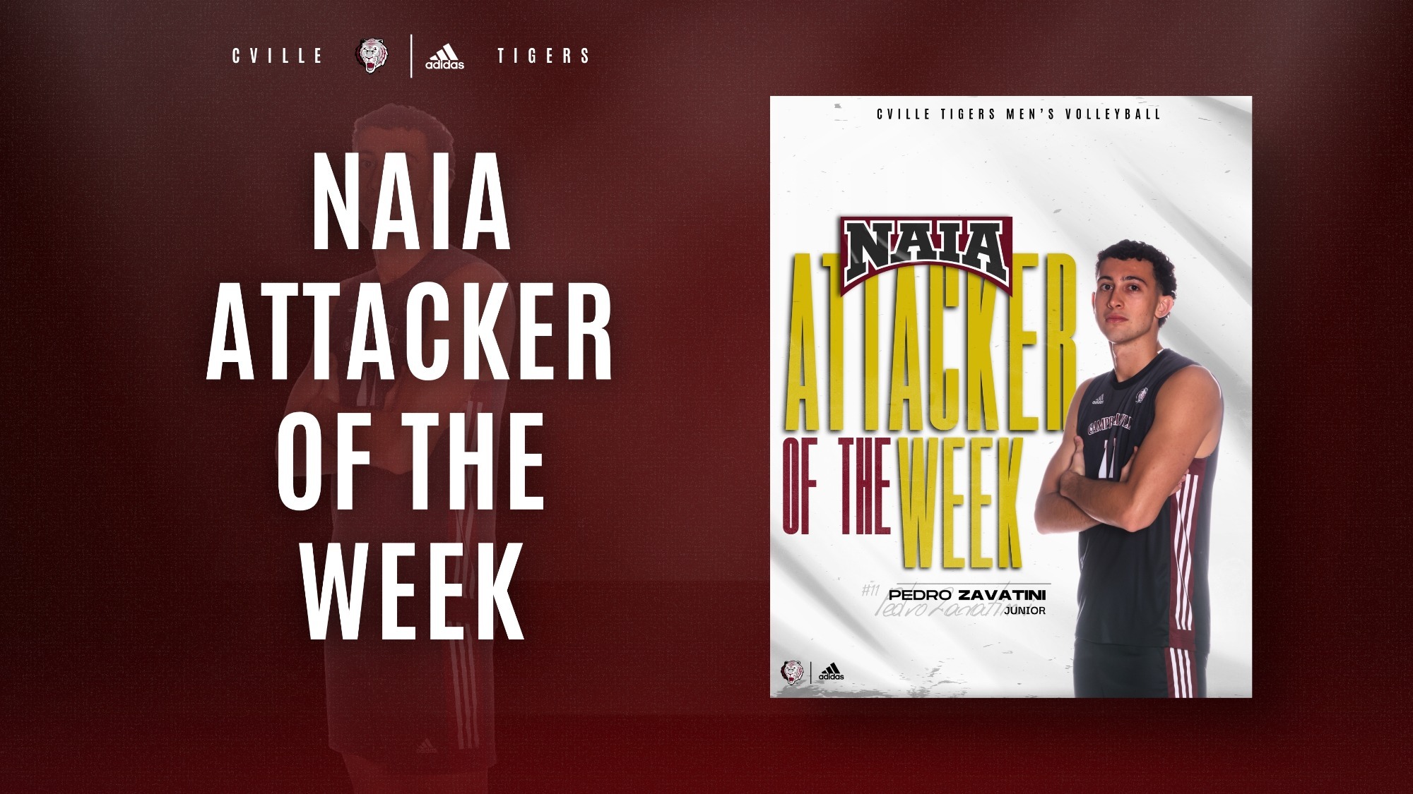 MVB Zavatini NAIA graphic 21726