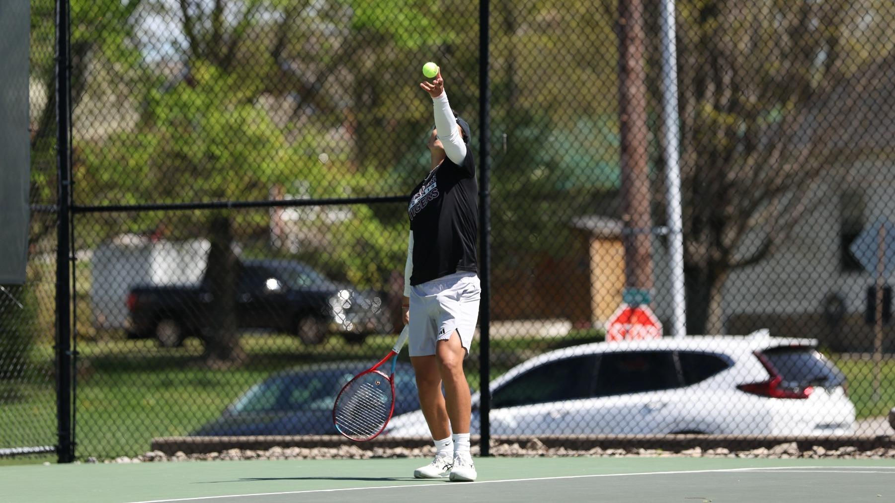 Tiger serve