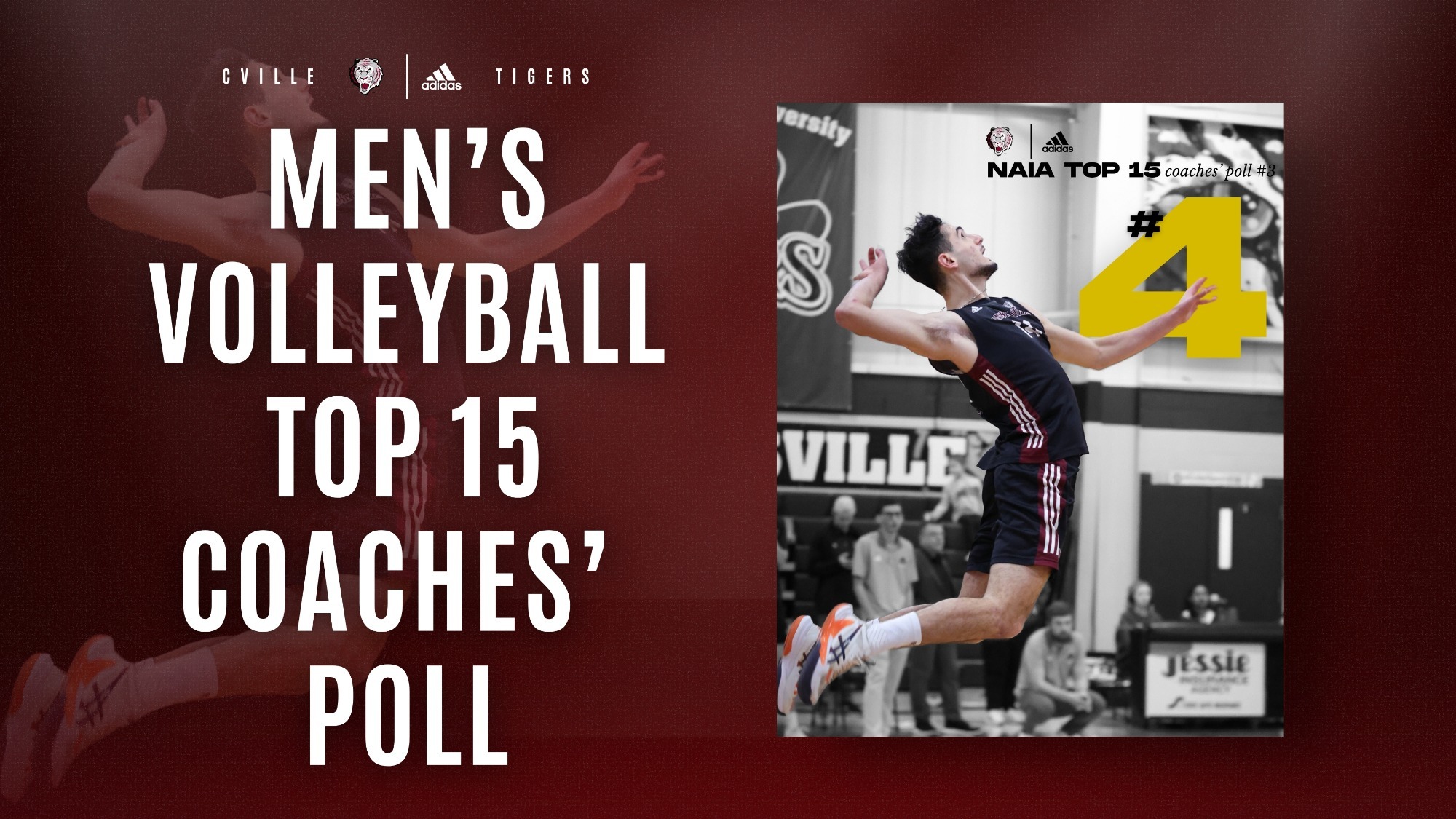 MVB NAIA Poll graphic 31126