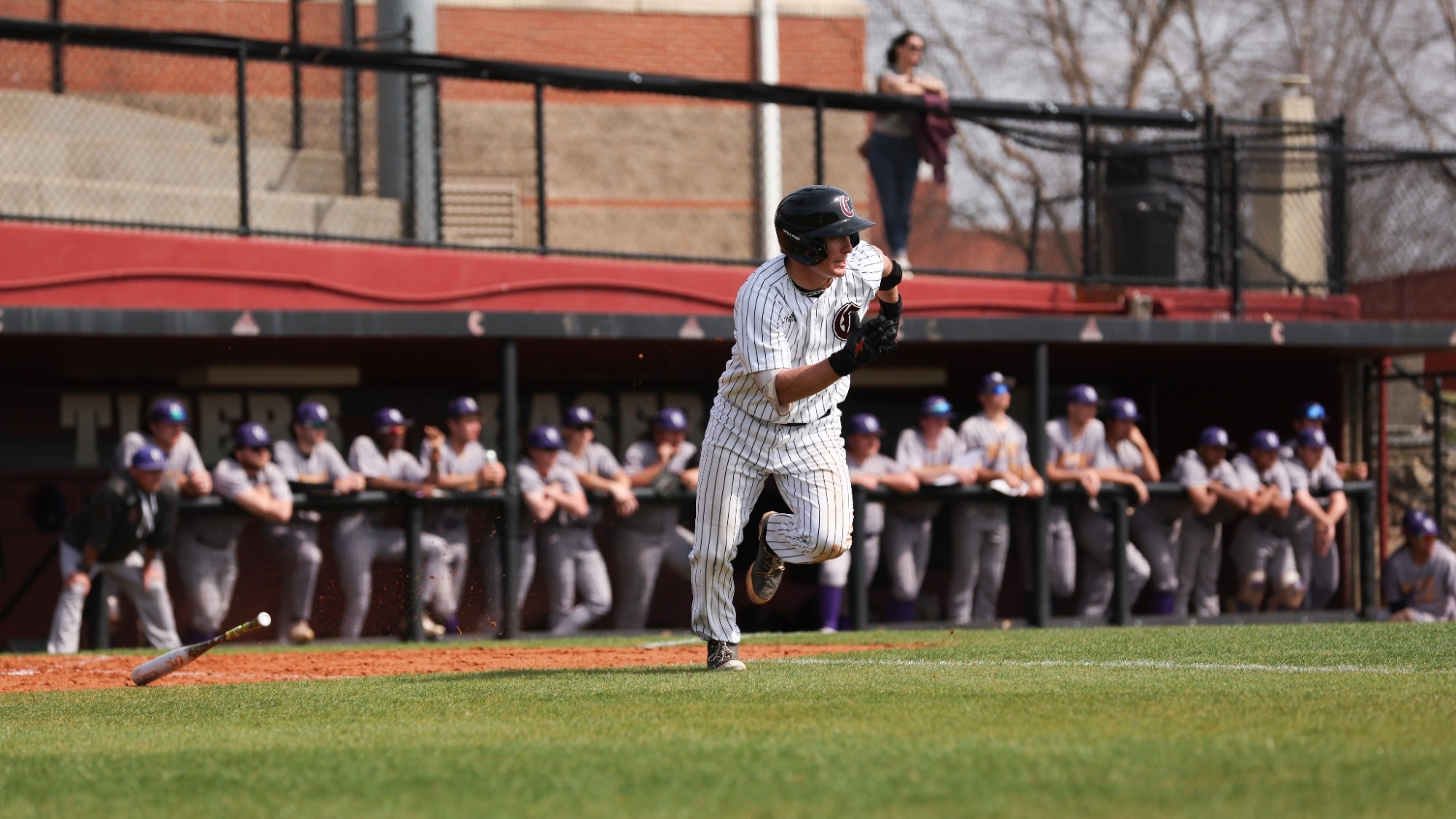 Tiger running to first base