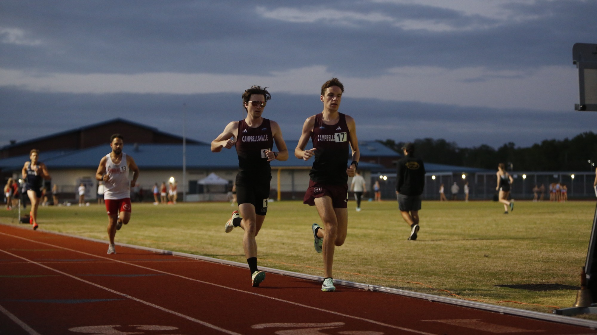 Tigers running