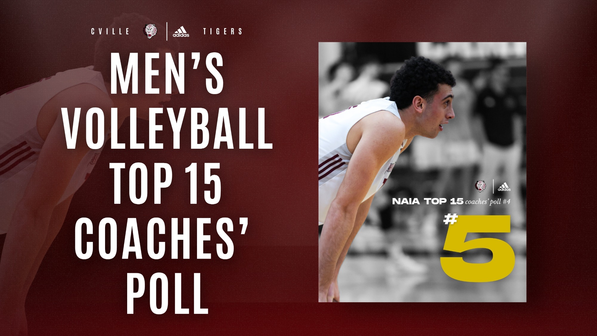 MVB NAIA Poll Ranking