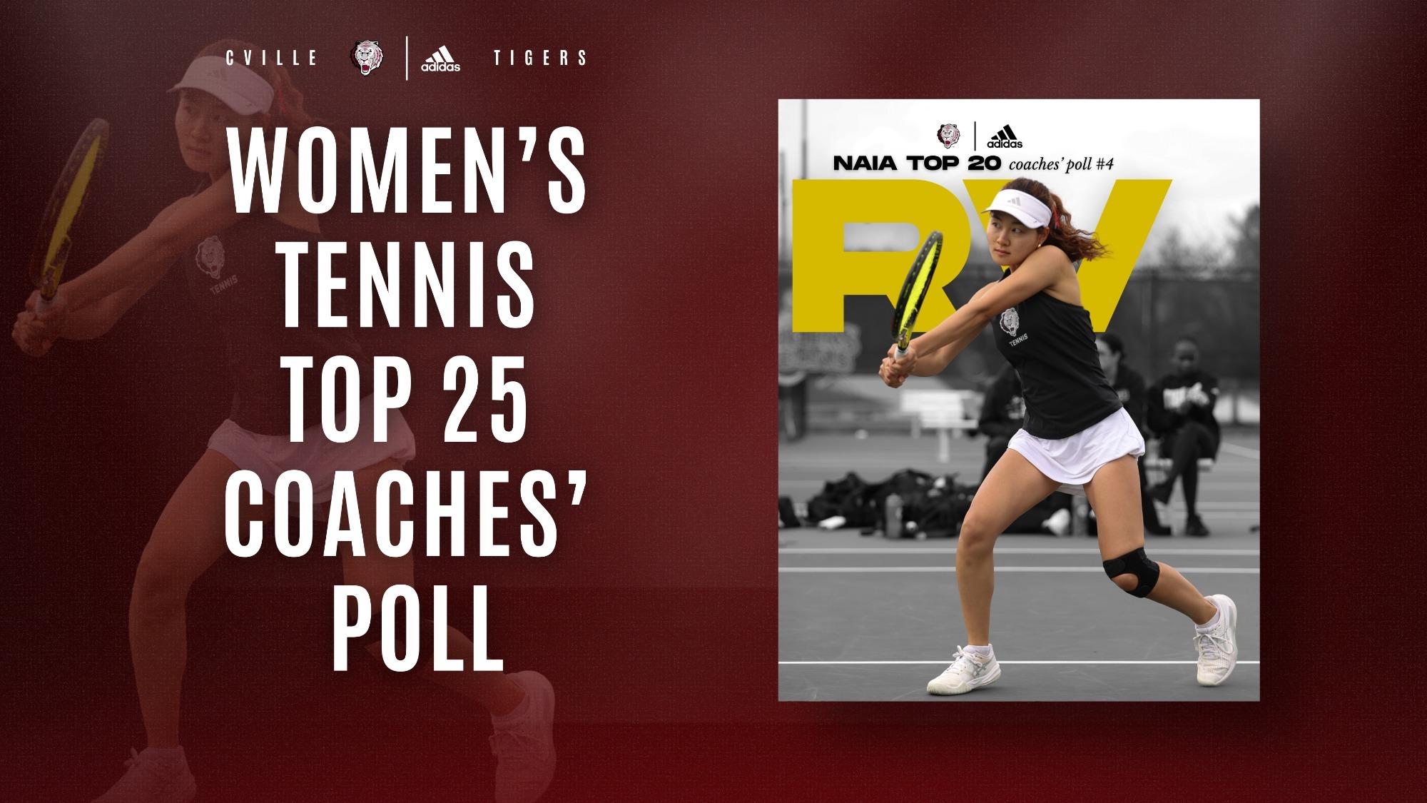 WTEN NAIA graphic 32526