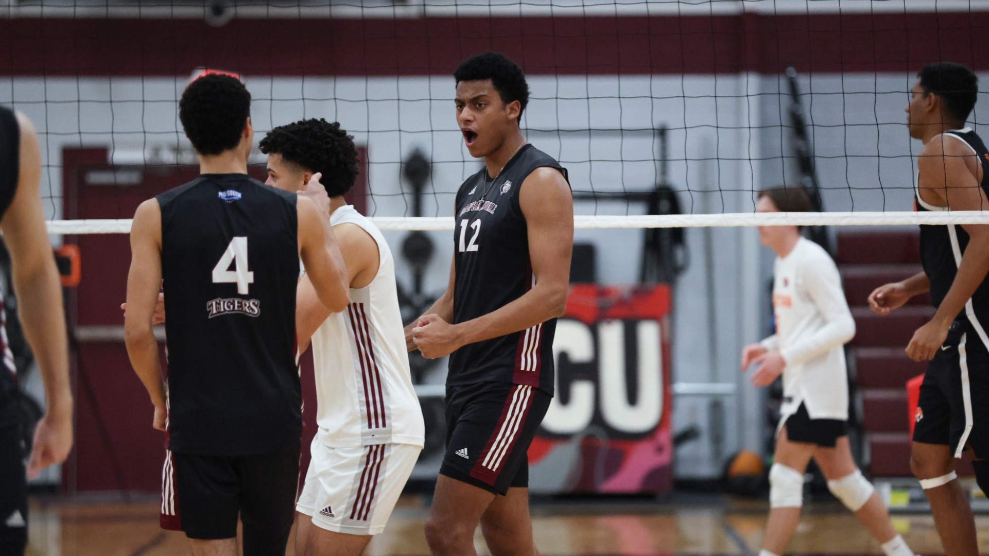 Madrigal celebration