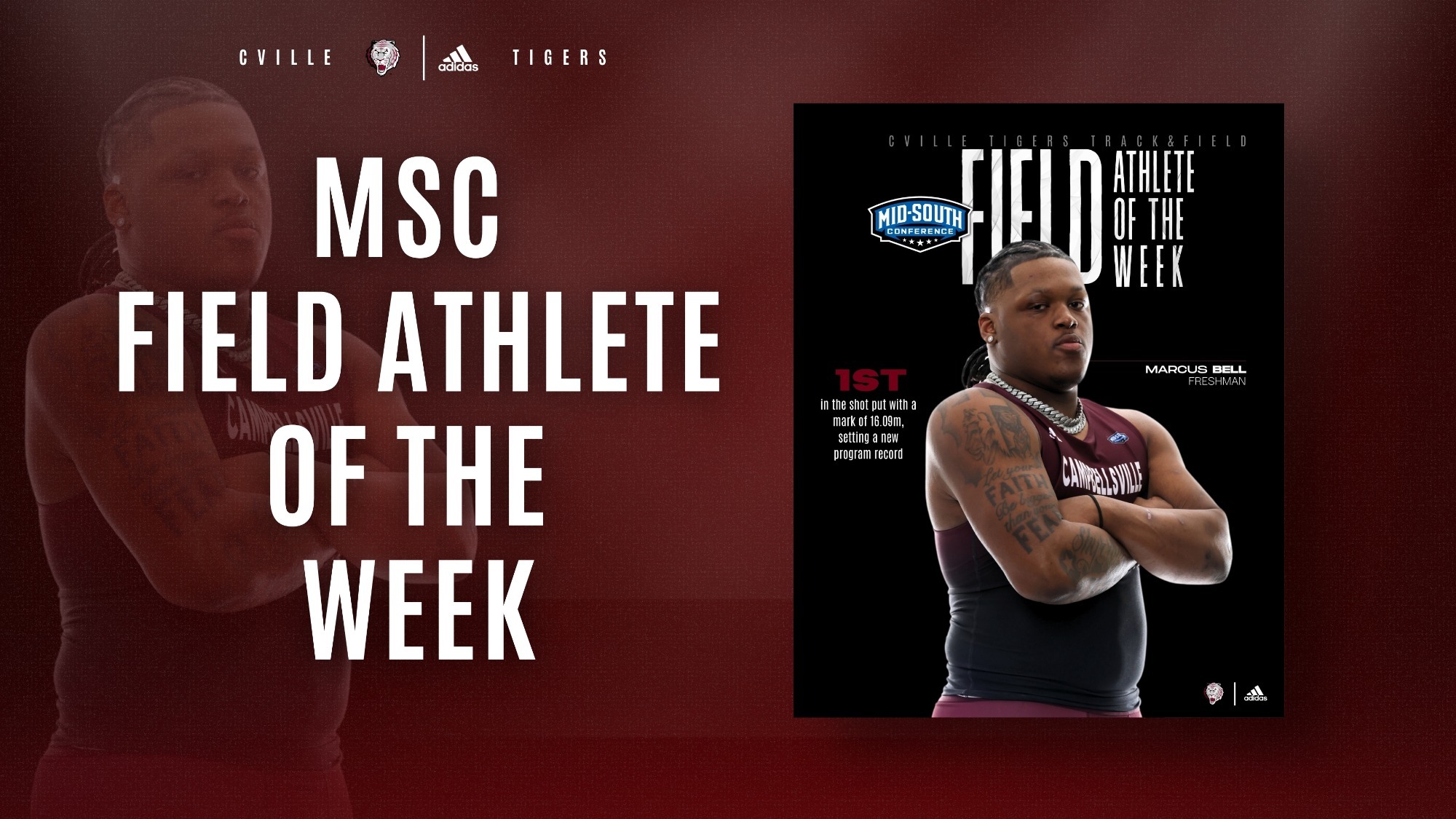 FIELD Bell MSC AotW 41326