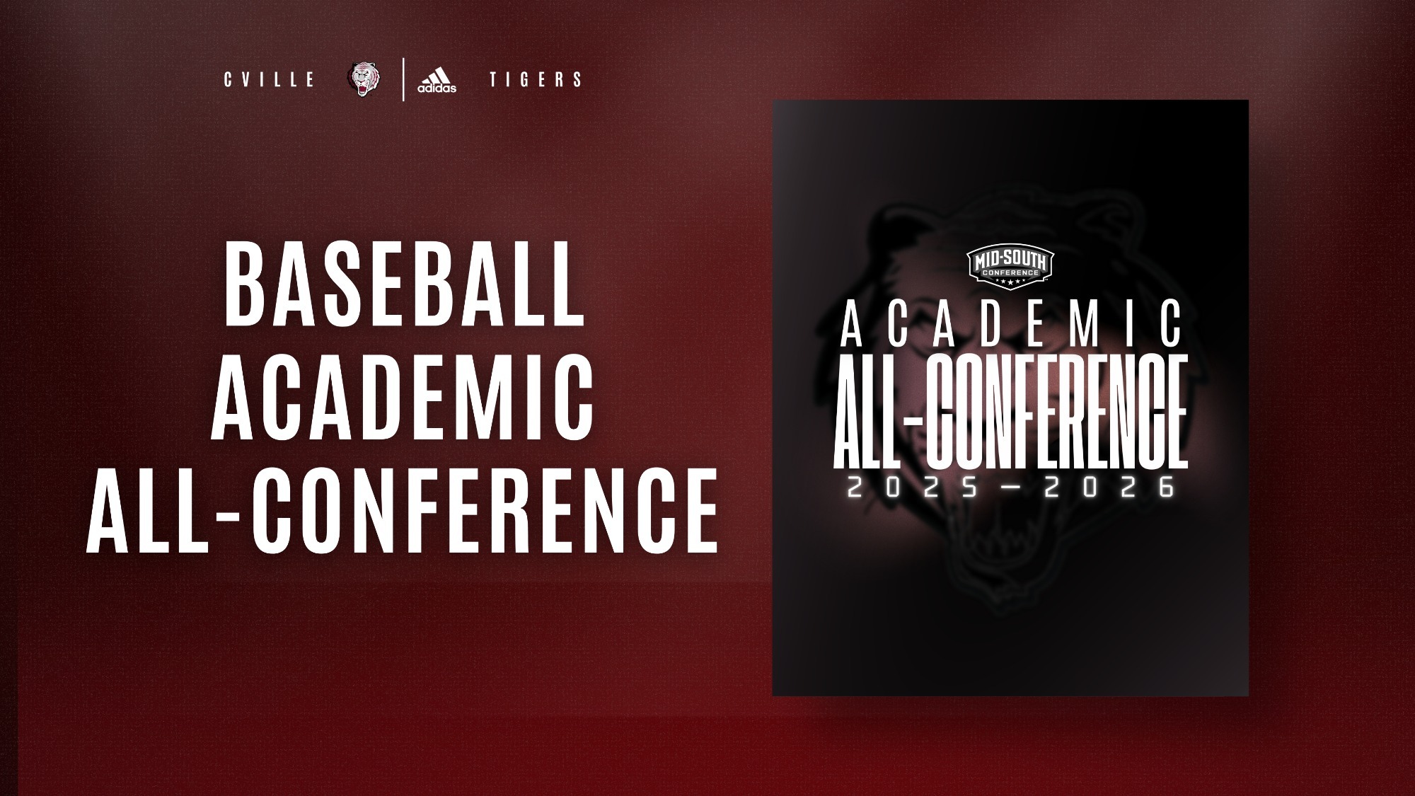 BSB MSC Academic graphic 42726