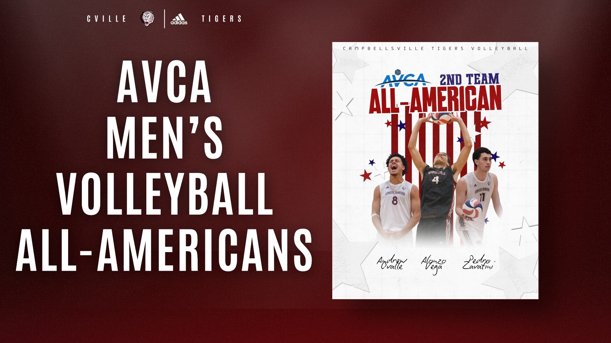 MVB AVCA All-American graphic 42726