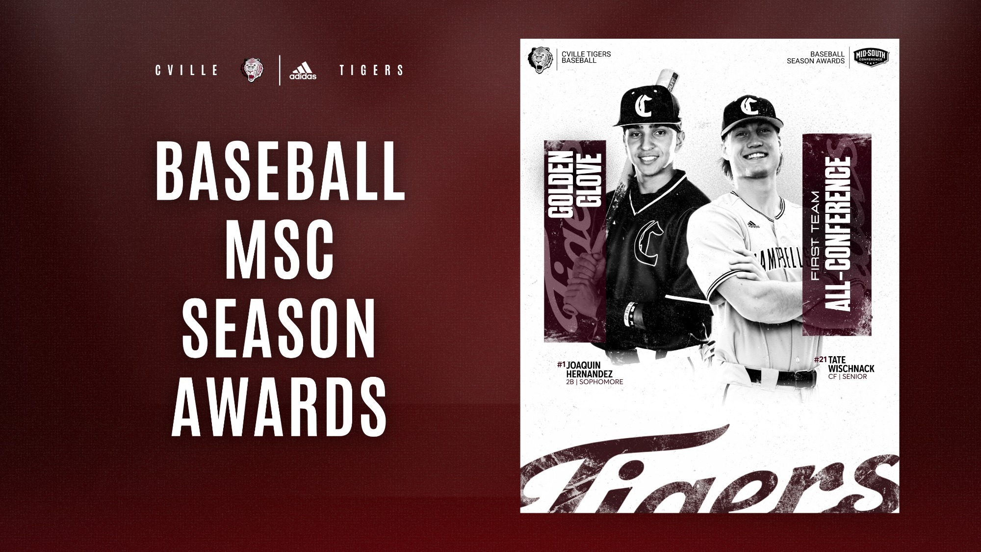 BSB MSC graphic 42926