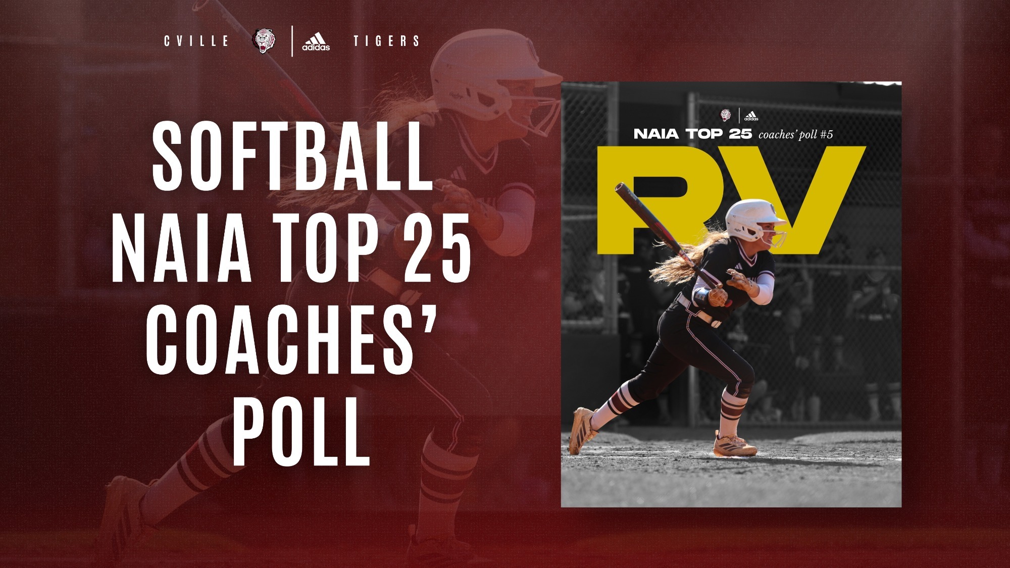 SB NAIA graphic 42926